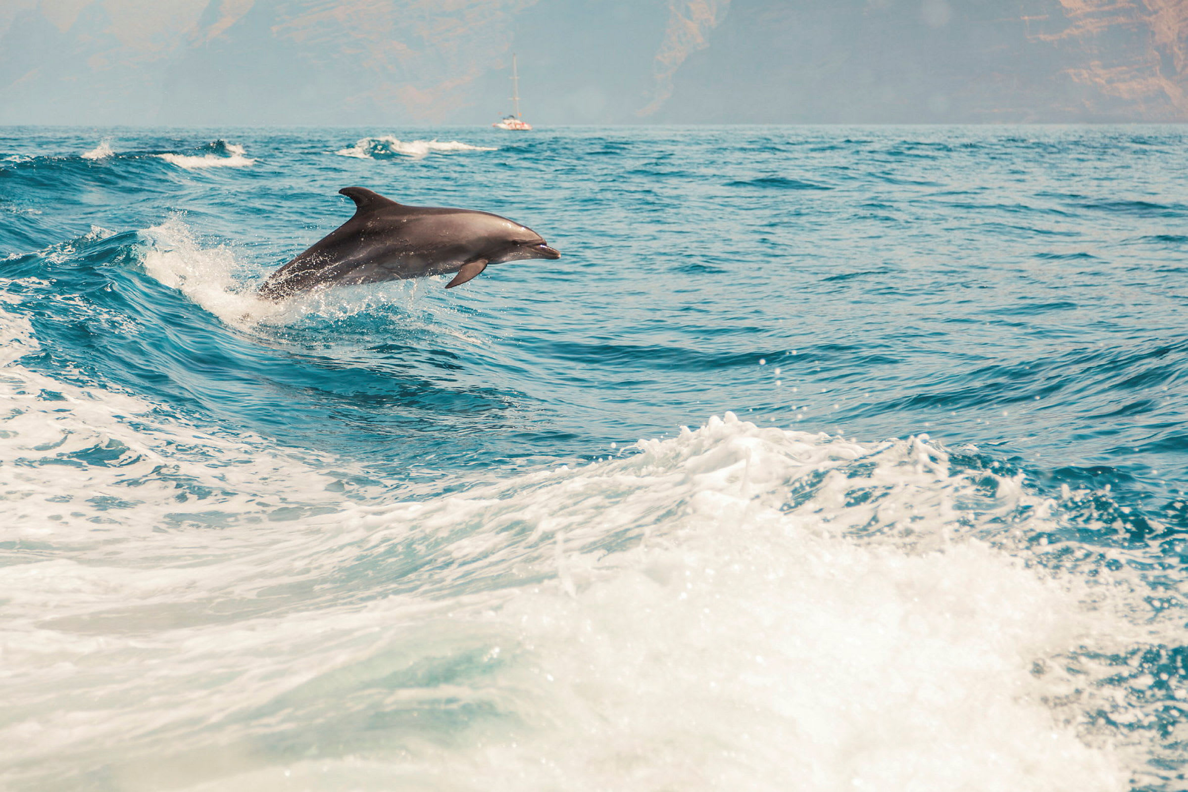 Delfin hoppar över vågor med en båt i bakgrunden. (AI-genererad text)