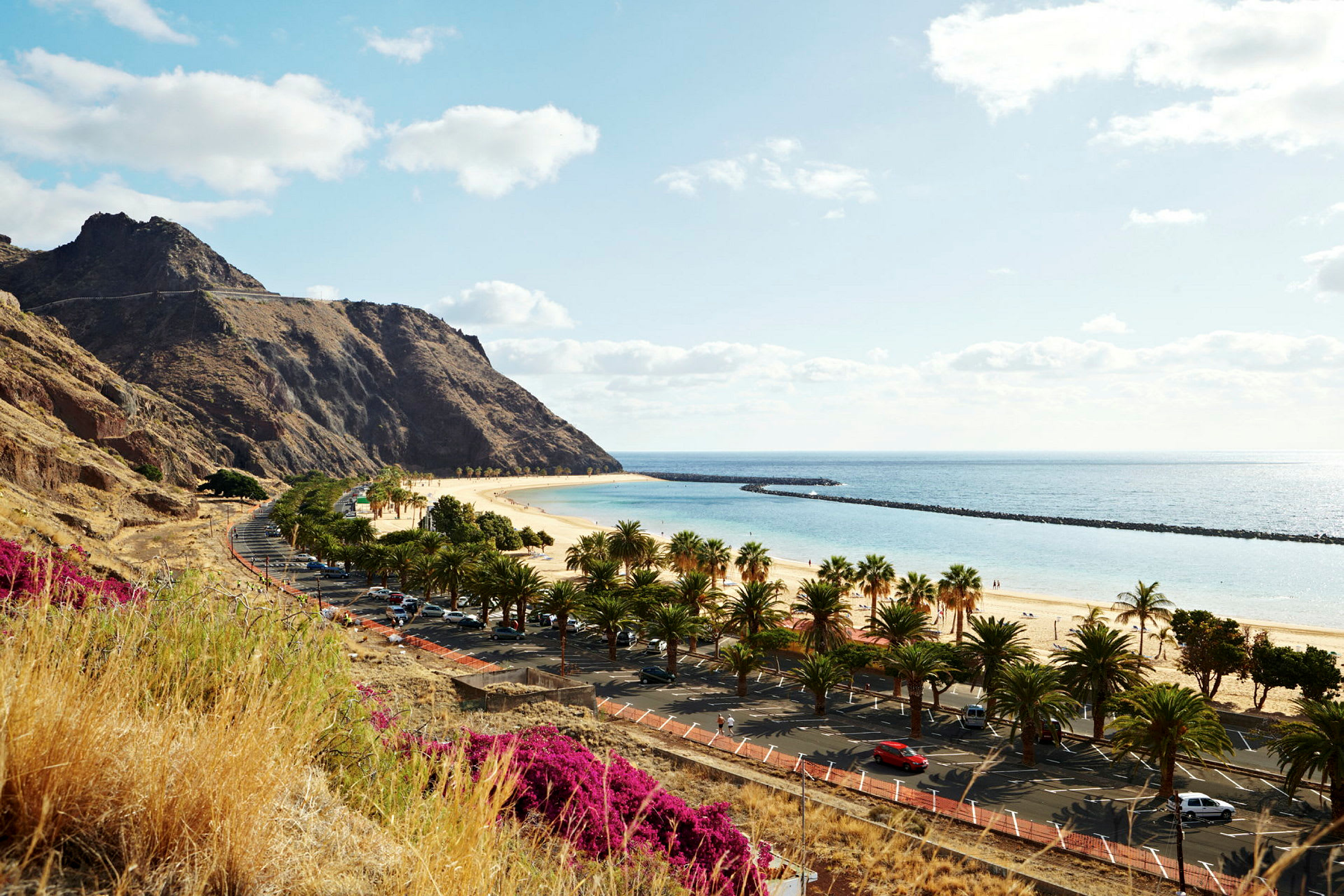 Solig strand med palmer, hav och berg i bakgrunden. (AI-genererad text)