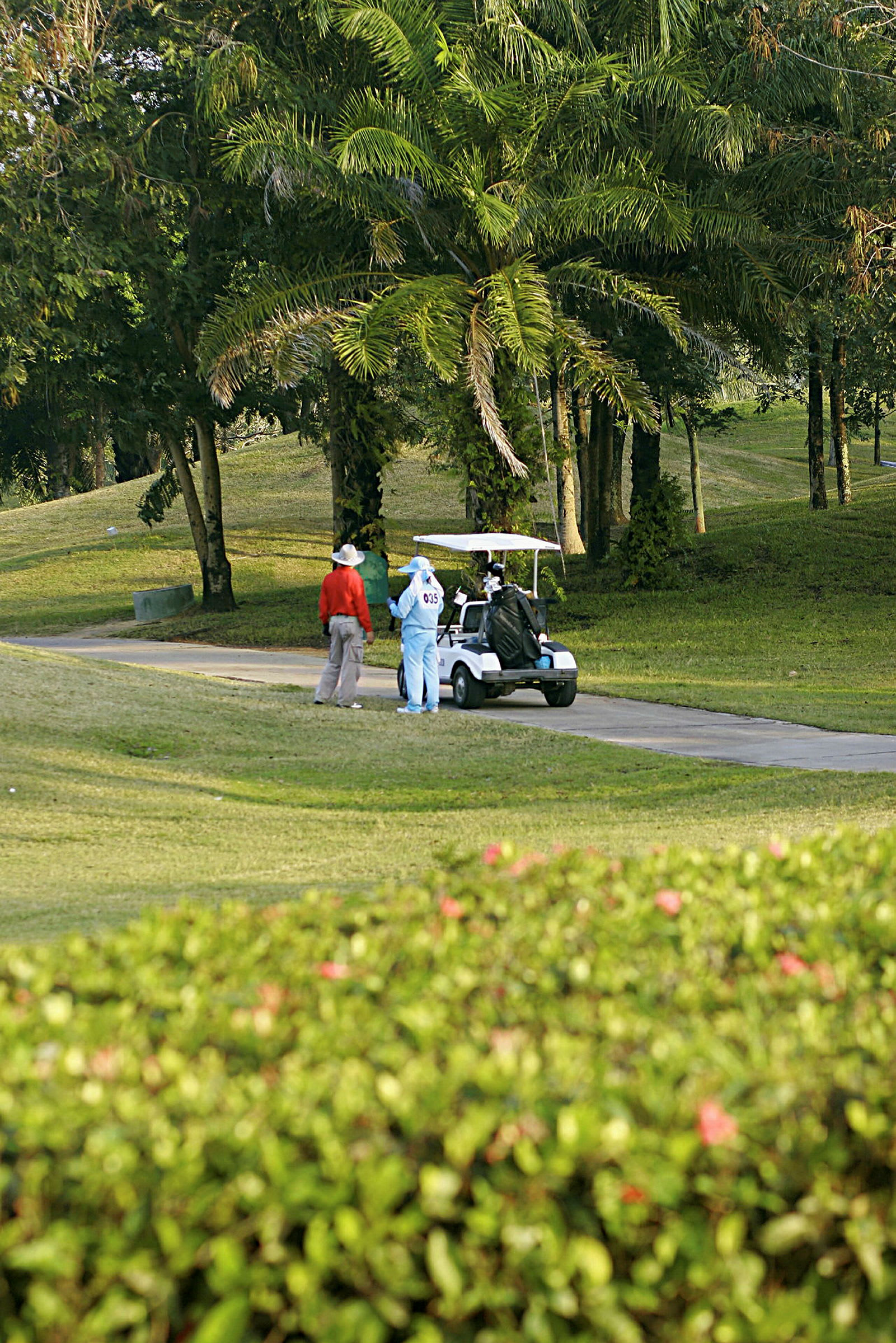 Två personer står vid en golfbil på en golfbana med träd i bakgrunden. (AI-genererad text)