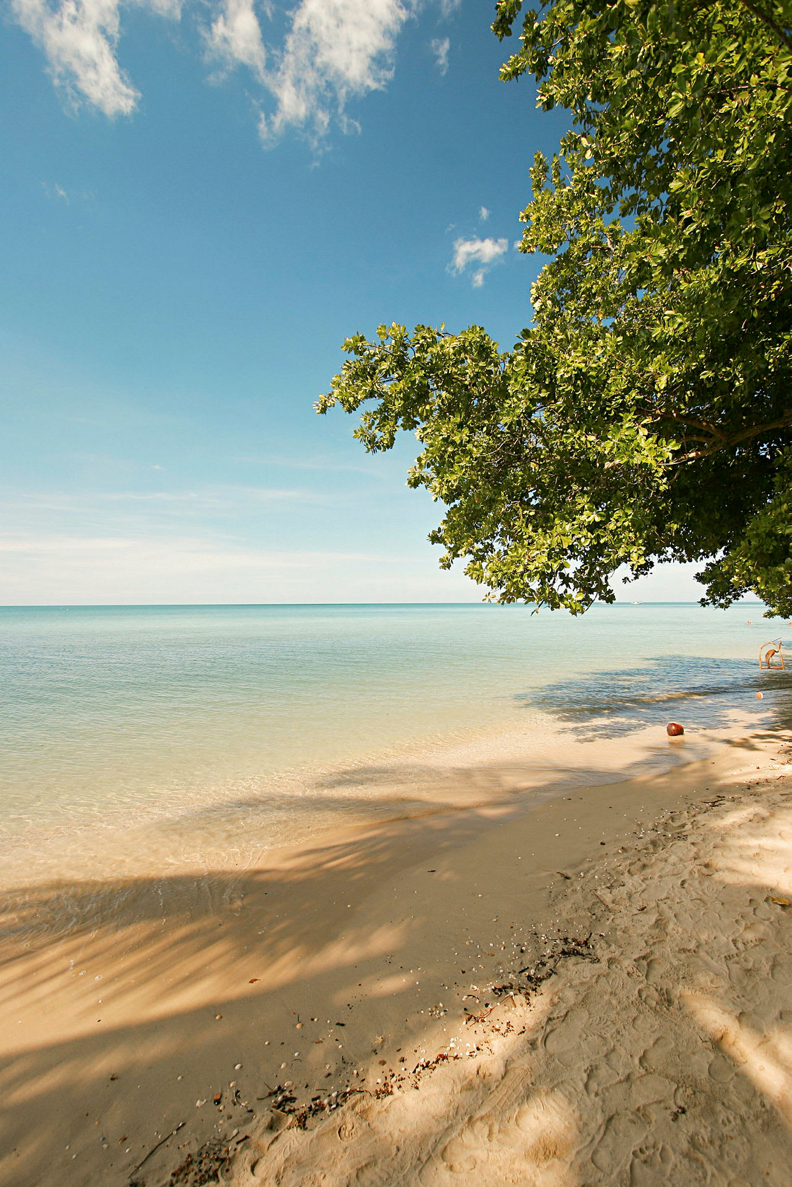 Strand med lugnt vatten och skuggor från träd. (AI-genererad text)
