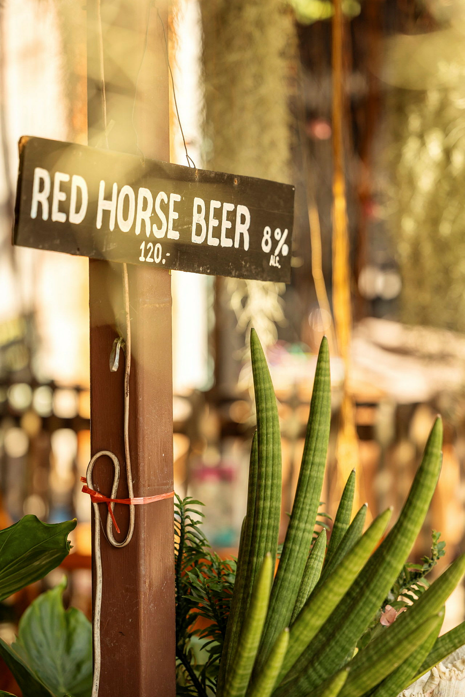 En träskylt med texten 'Red Horse Beer 8% Alc. 120' är monterad på en stolpe, omgiven av växter. (AI-genererad text)
