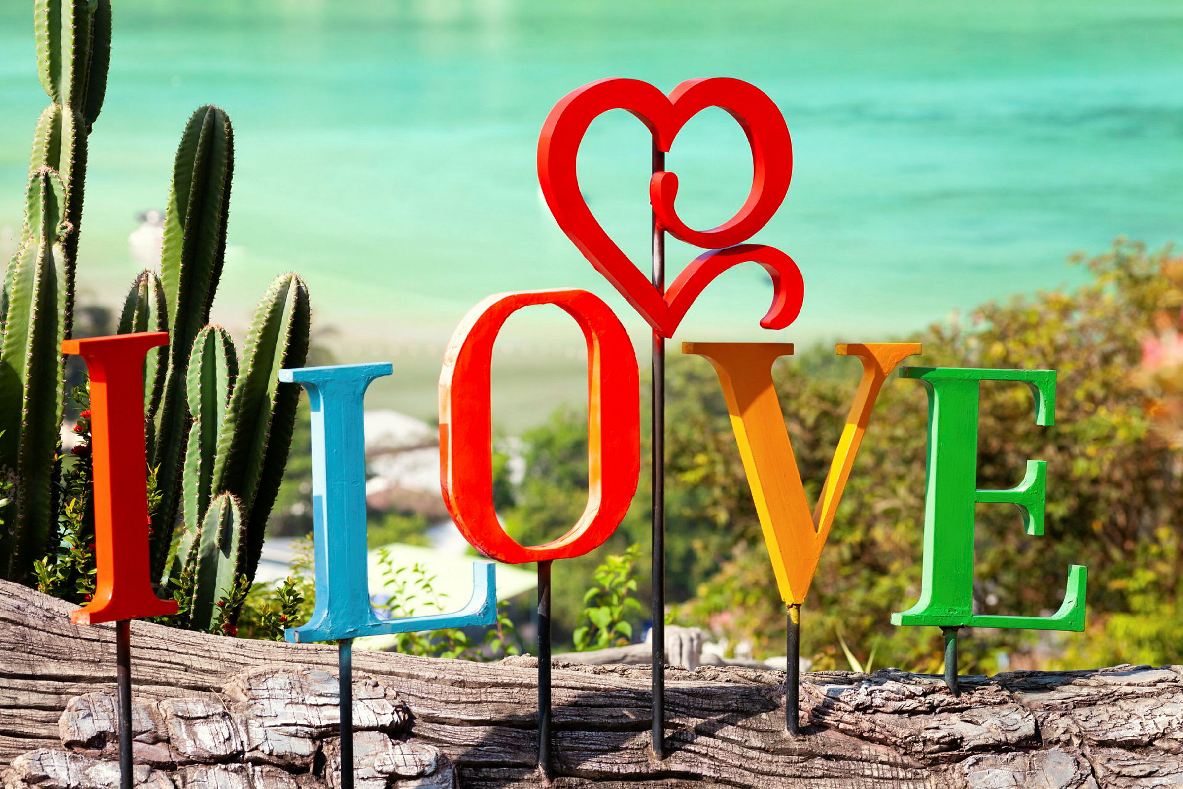 Dekorativa bokstäver som formar ordet 'LOVE' framför blommor, kaktusar och en strand. (AI-genererad text)
