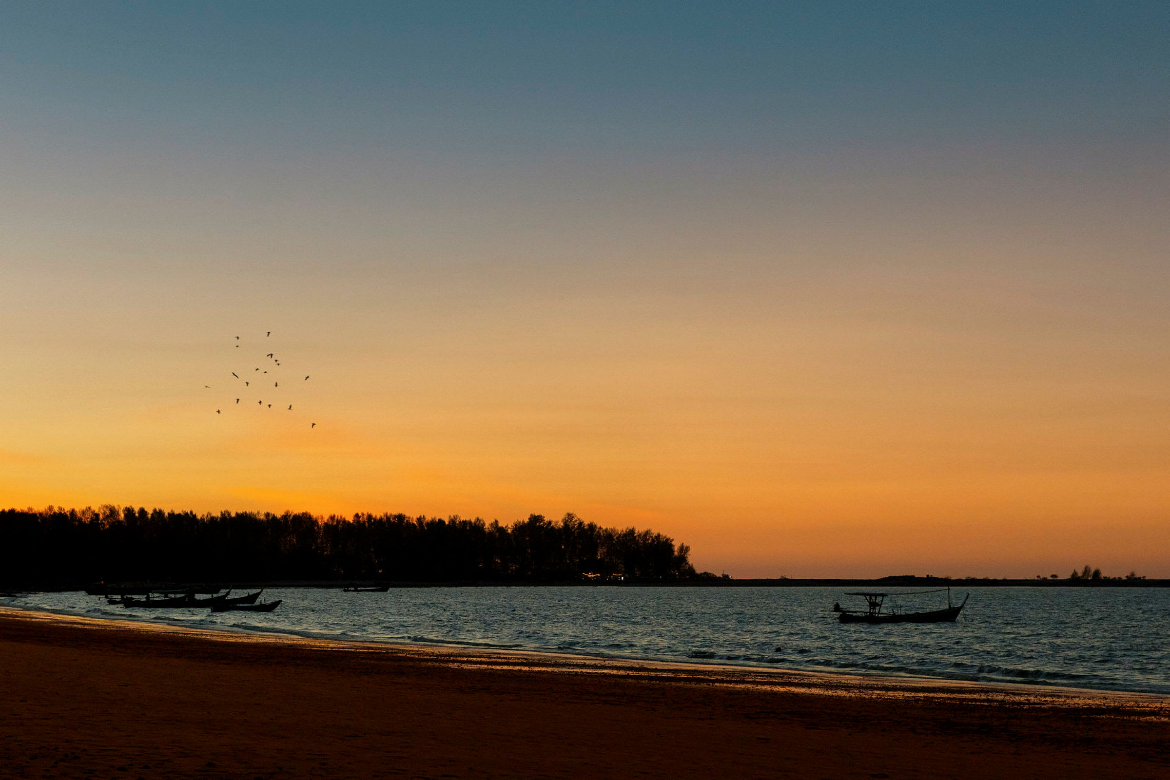 En solnedgång över en strand med båtar och fåglar. (AI-genererad text)