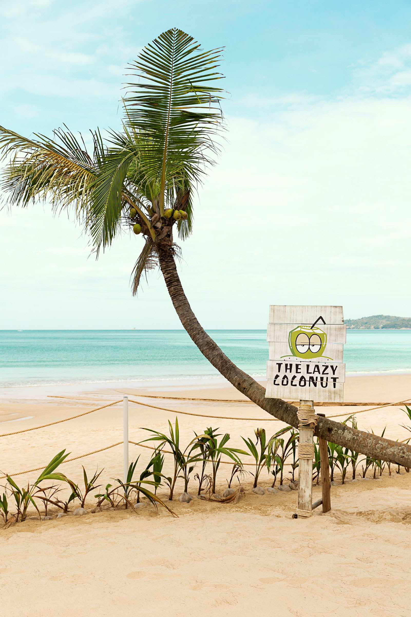 En lutande palm med kokosnötter vid en strand med ett tecken som säger 'The Lazy Coconut'. (AI-genererad text)