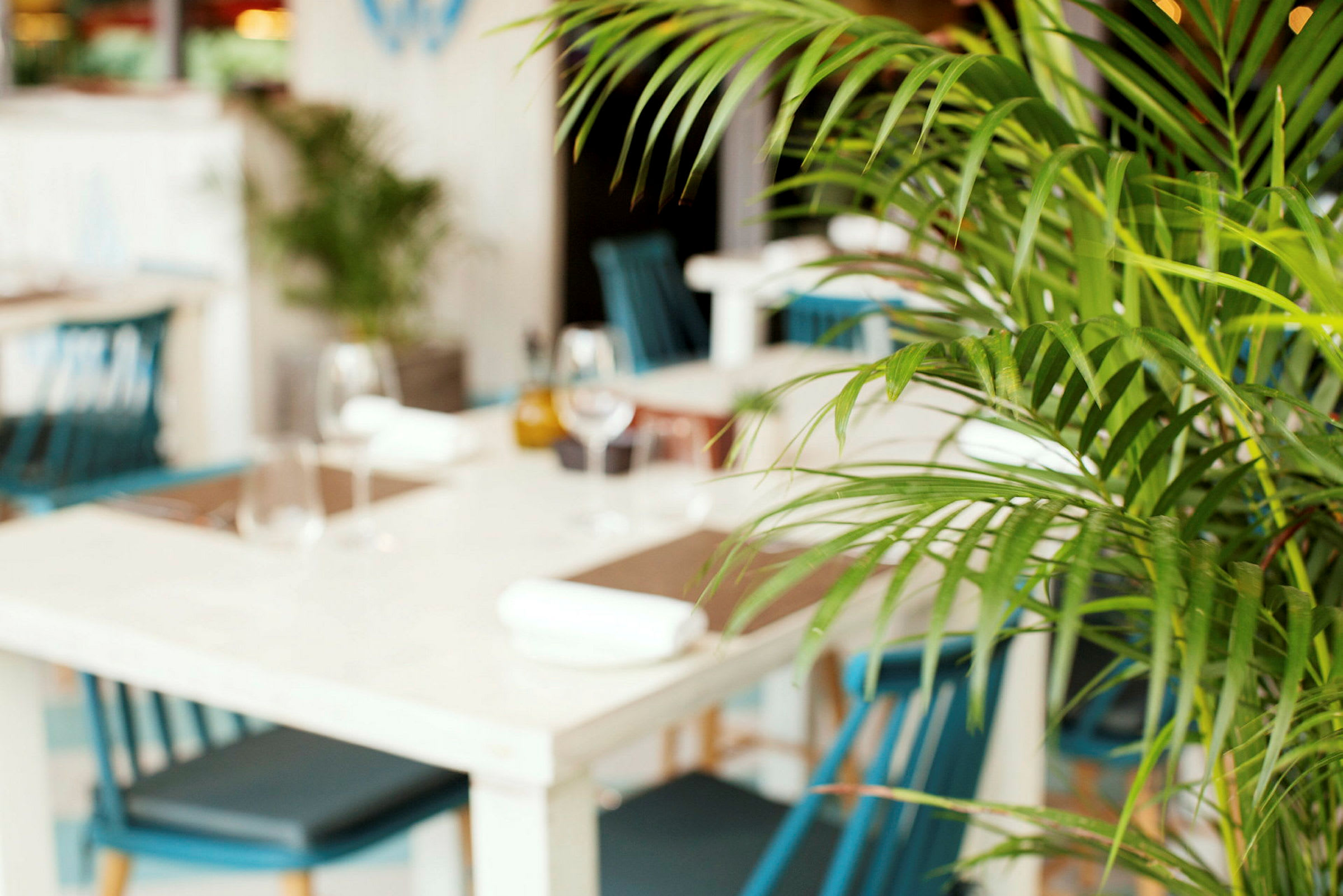 En modern restaurang med grön växt i förgrunden och vita bord med blå stolar. (AI-genererad text)