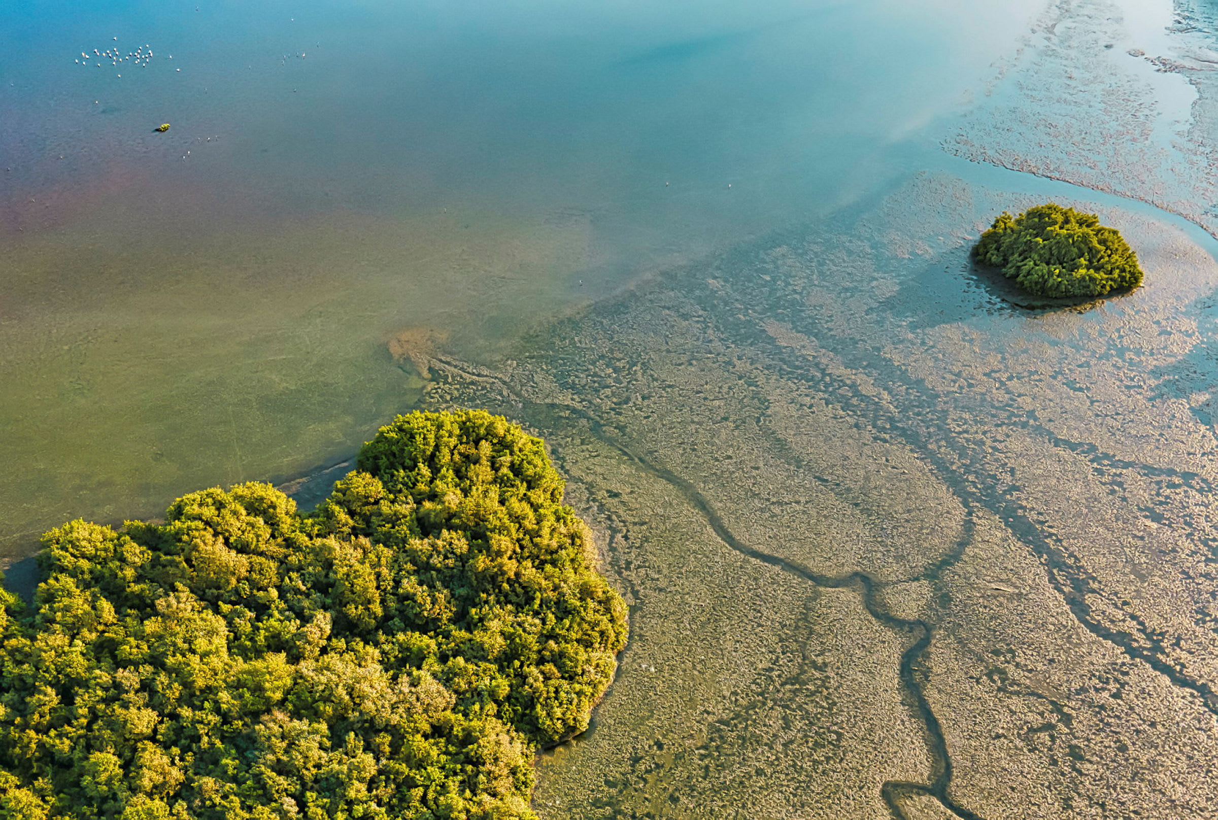 Flygbild av ett kustlandskap med små öar täckta av grön vegetation omgivna av grunda vatten. (AI-genererad text)