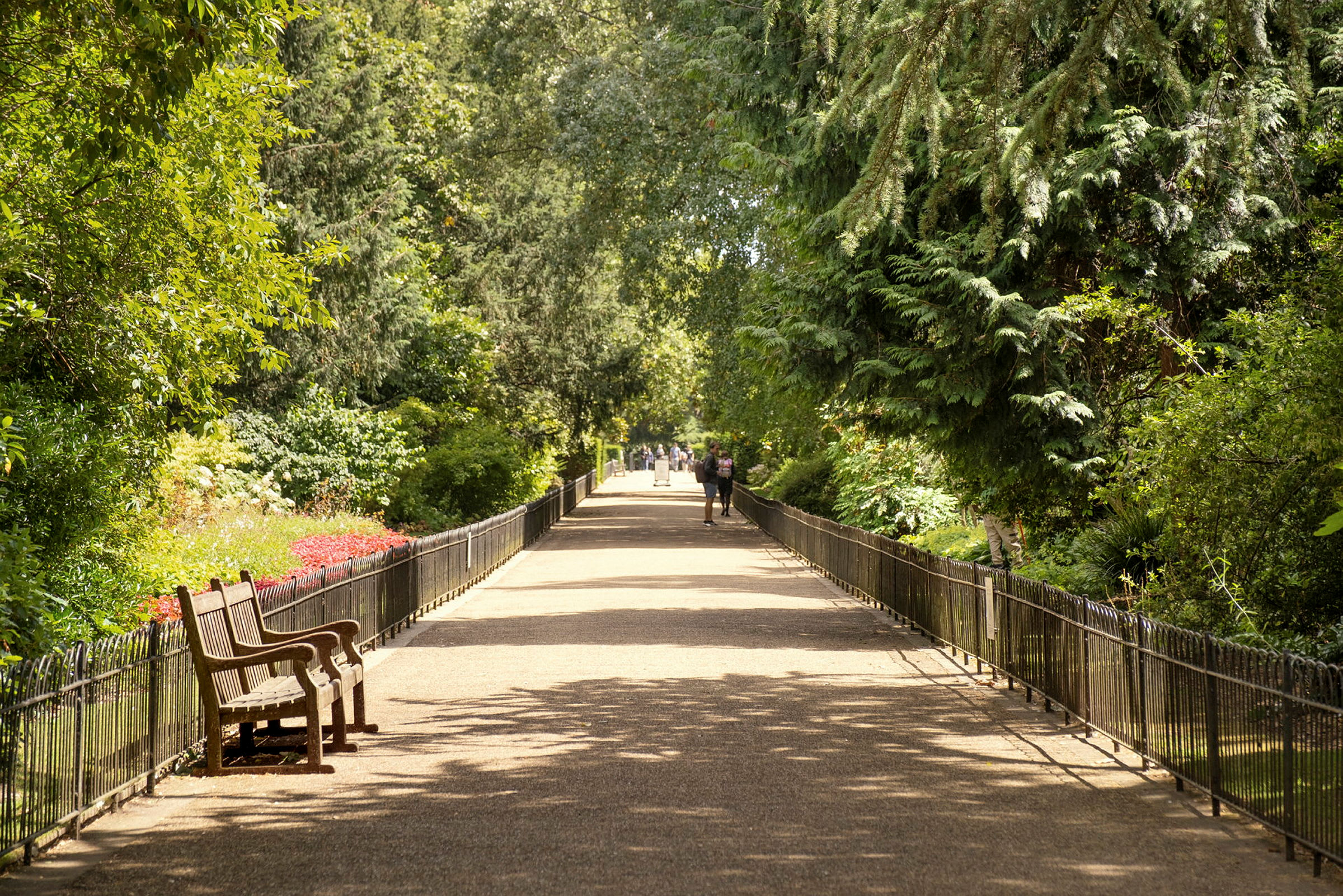 En gångväg i en park med bänk och omgivande grönska. (AI-genererad text)