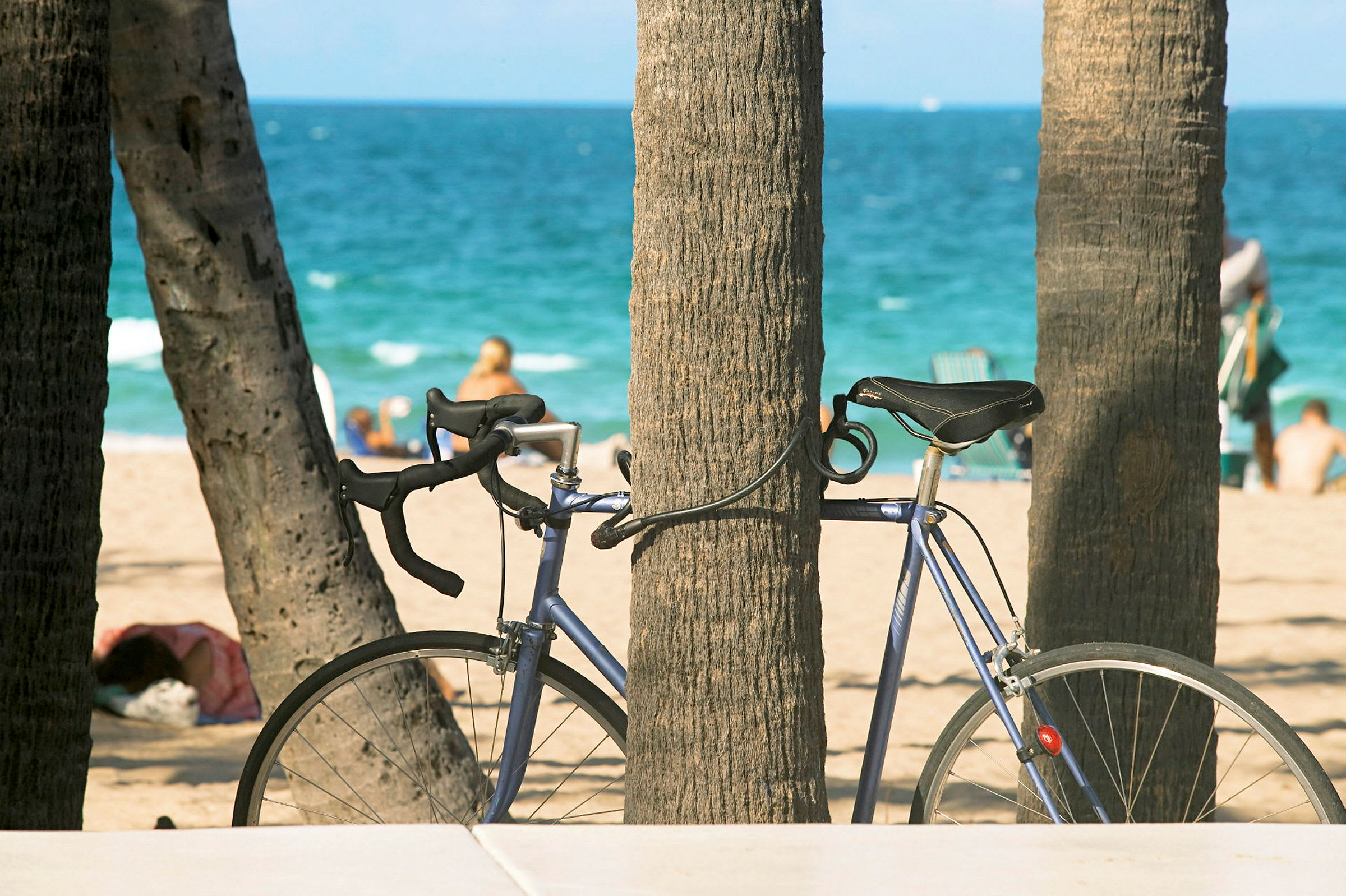 En cykel är lutad mot ett träd vid en sandstrand. I bakgrunden syns havet och personer som vistas på stranden. (AI-genererad text)