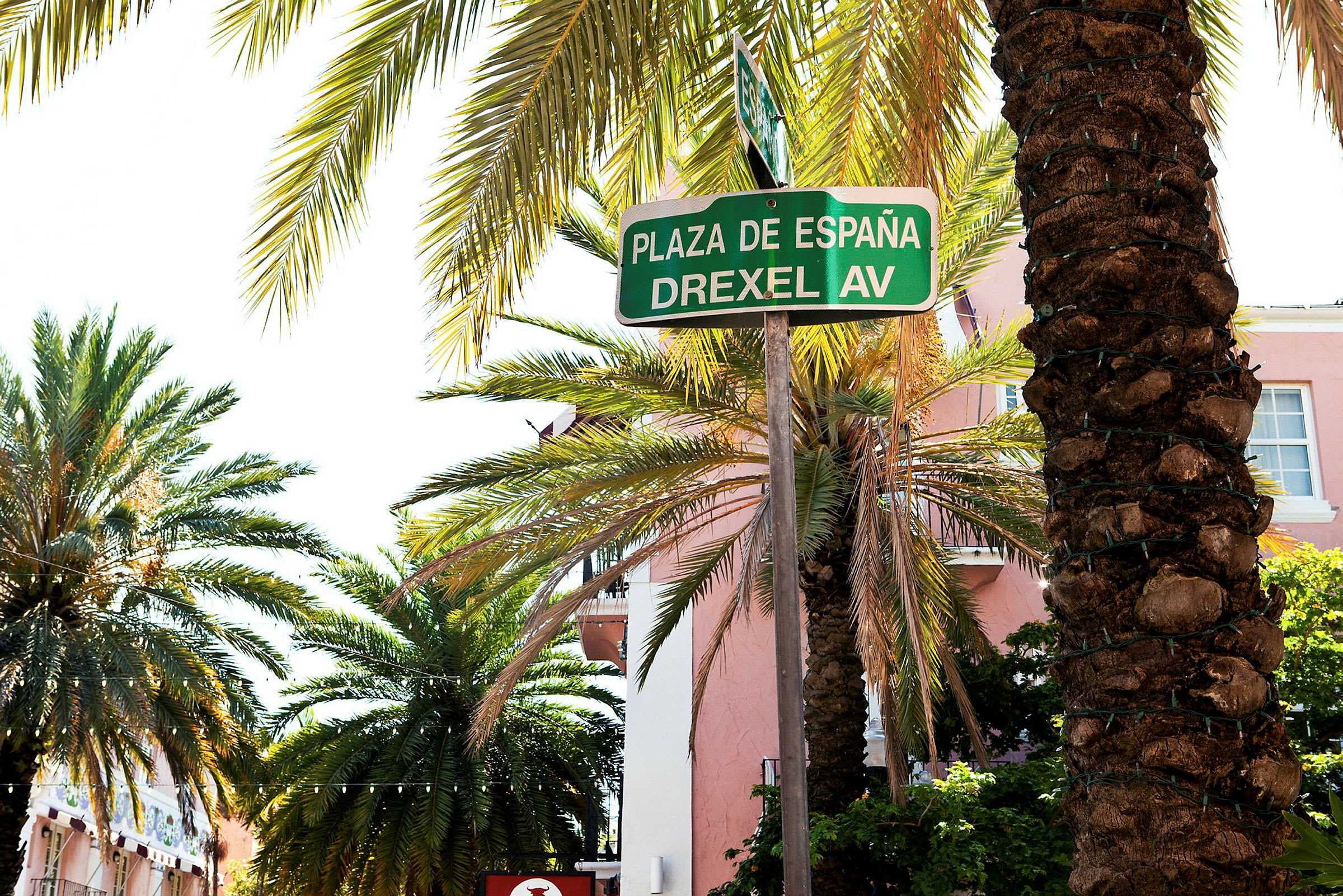 Skylt med texten 'Plaza de España Drexel Av', omgiven av palmer. (AI-genererad text)