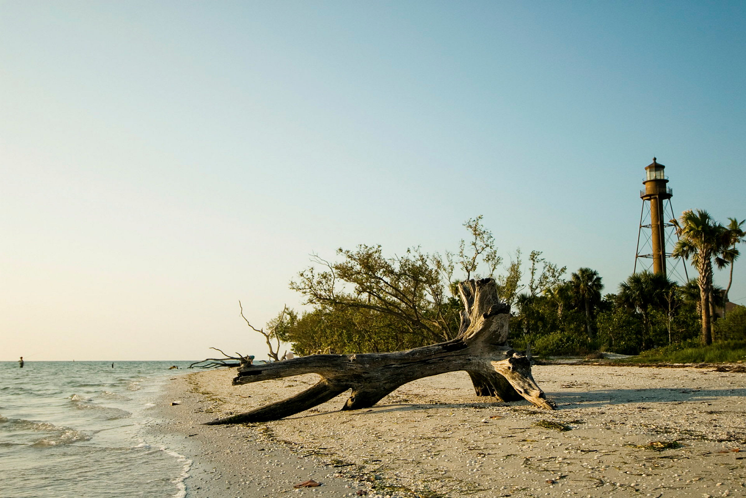 Strand med ett vågigt hav, en liggande trädstam och en fyr i bakgrunden. (AI-genererad text)