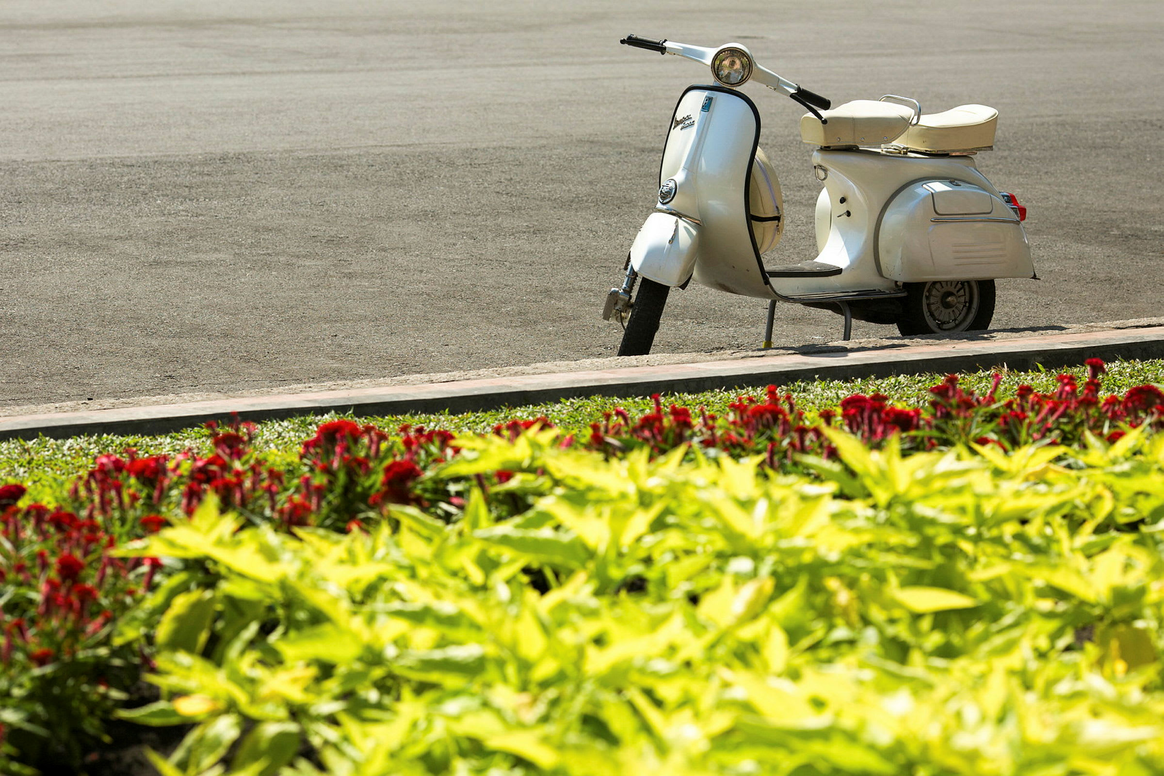 En vit scooter parkerad vid en väg nära en blomrabatt med röda och gula blommor. (AI-genererad text)