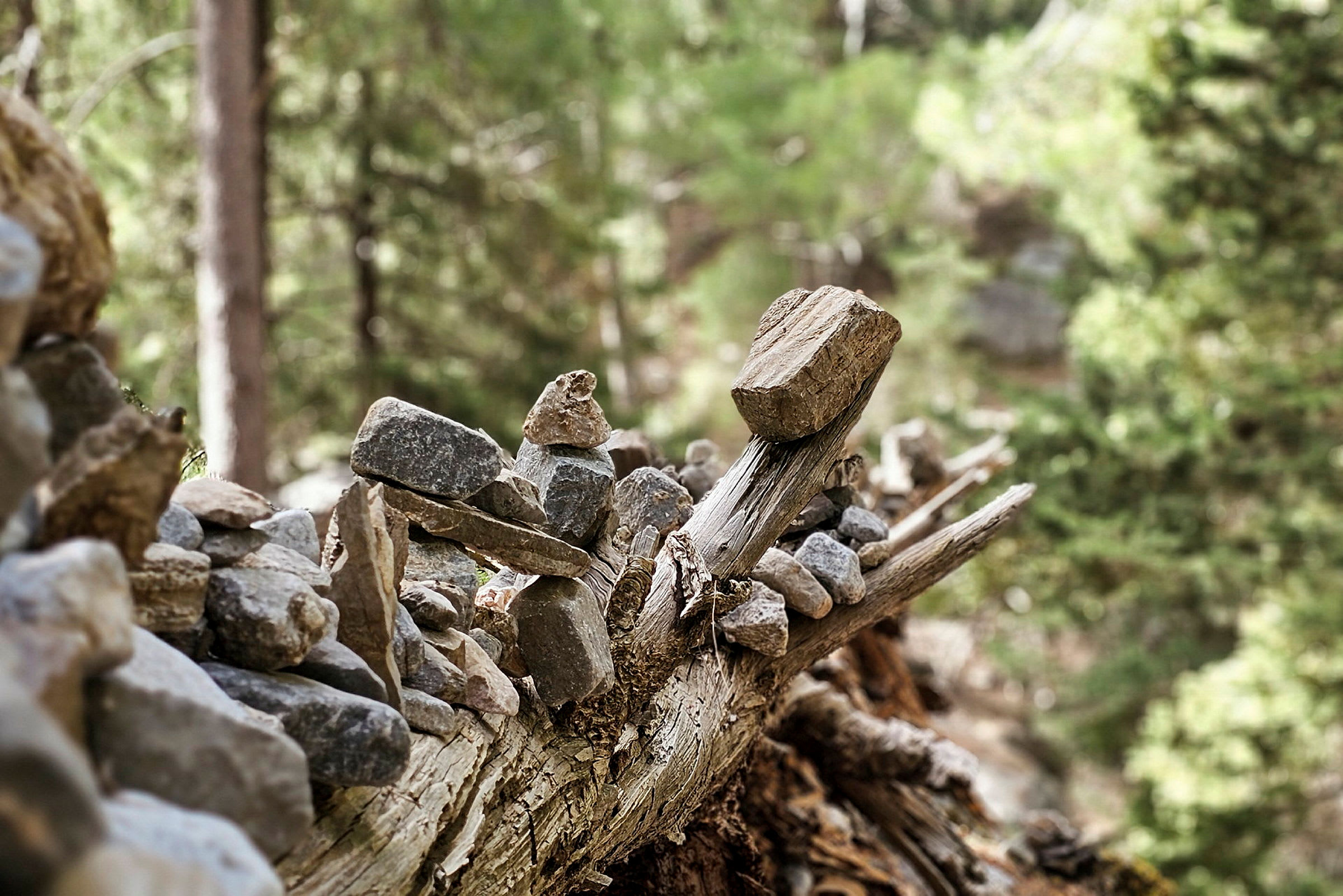 En fallen trädstam med små stenar placerade ovanpå, omgiven av skog. (AI-genererad text)