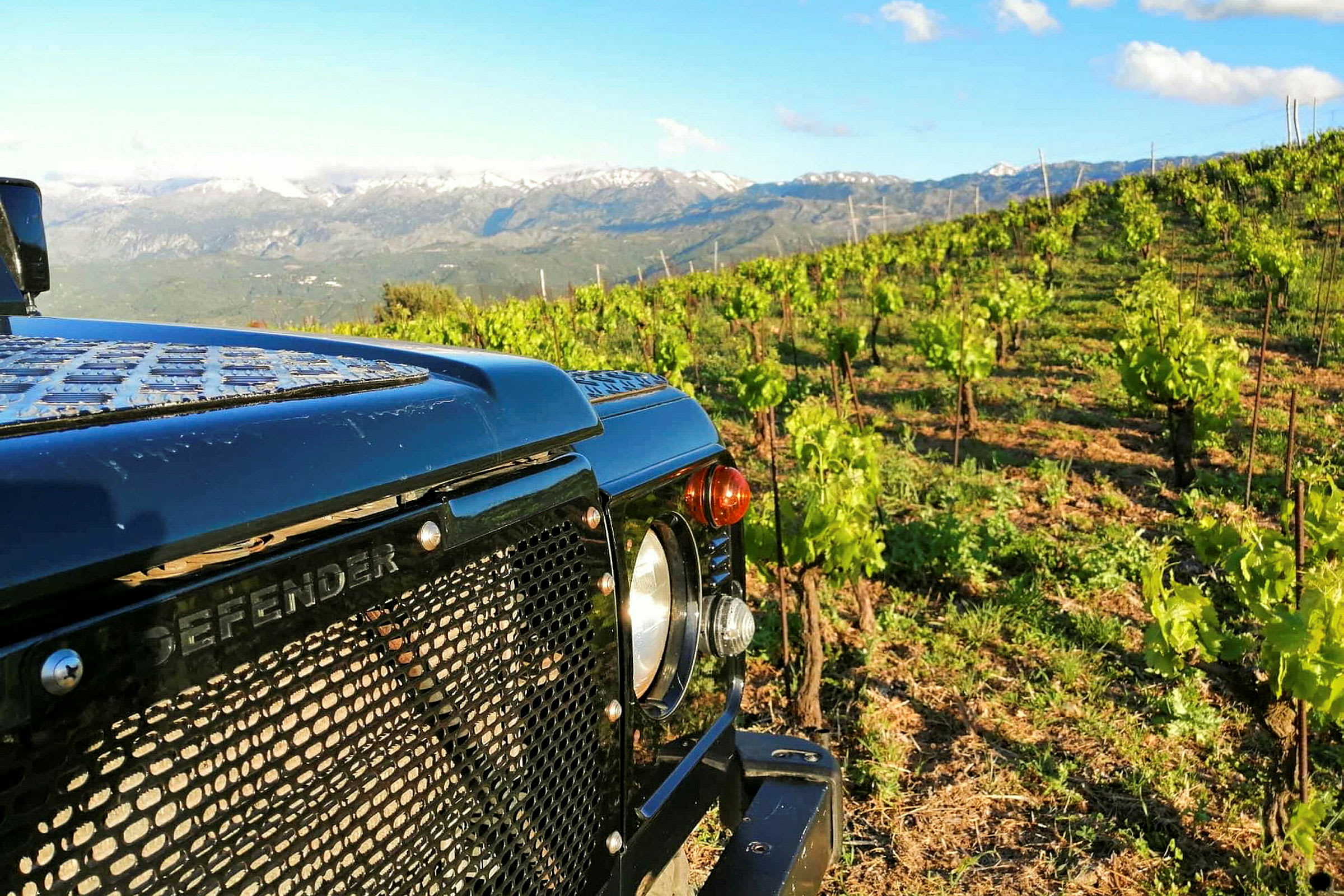 En terrängbil i förgrunden framför en odlad vinplantage med gröna rankor och berg i bakgrunden. (AI-genererad text)