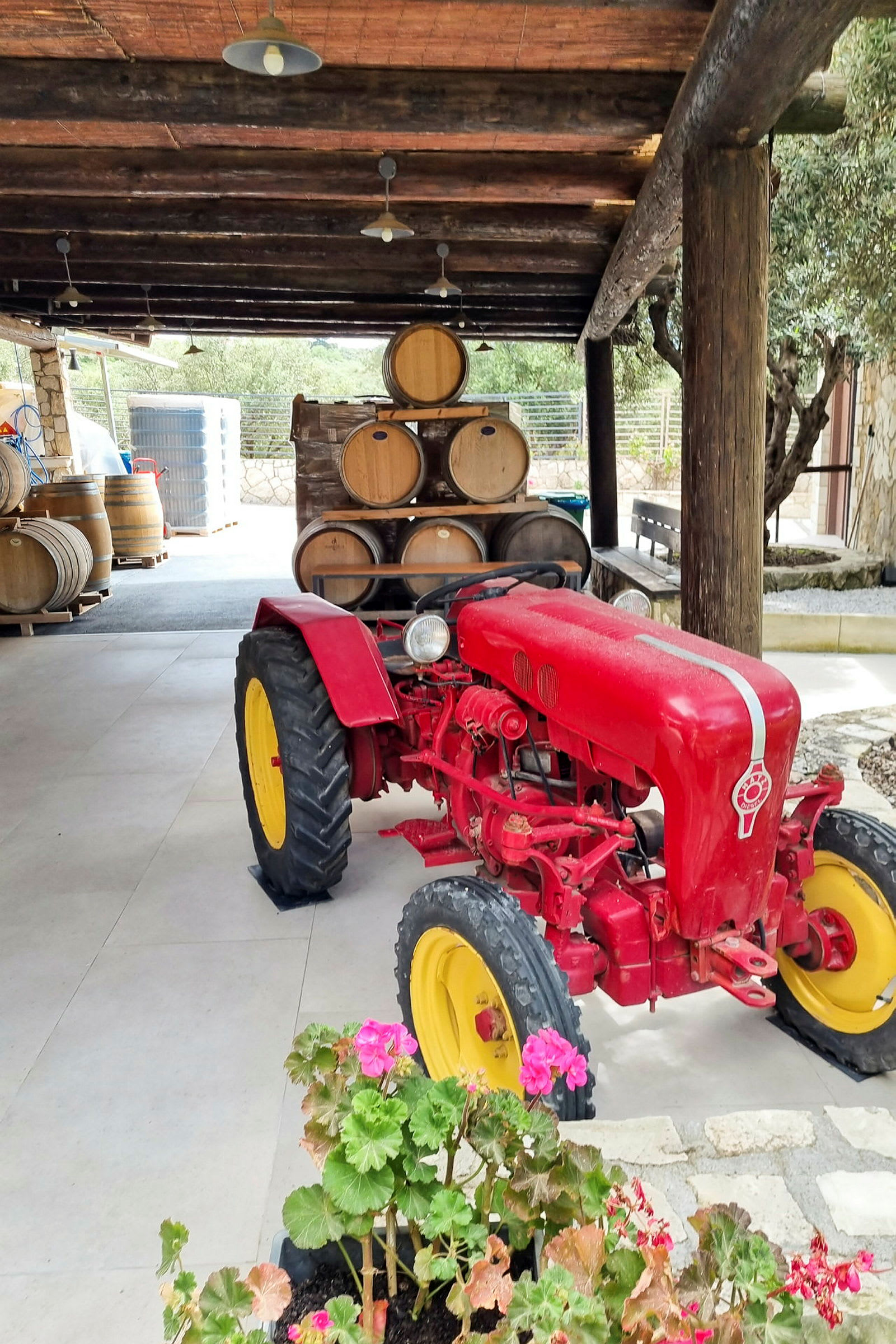 En röd traktor står parkerad under ett tak nära träfat och pelargoner. (AI-genererad text)