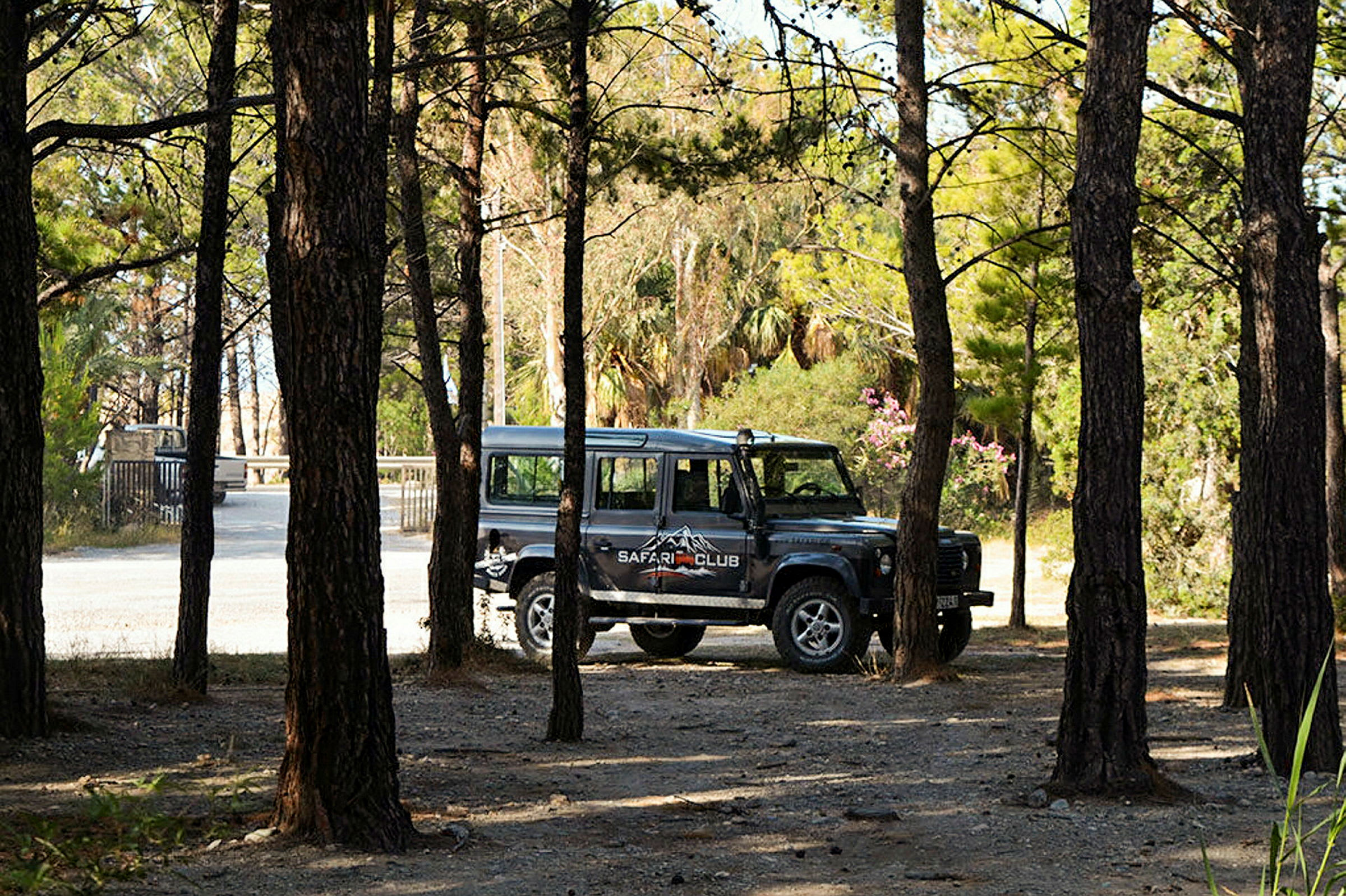 Ett safarifordon står parkerat bland träd i en skog. (AI-genererad text)