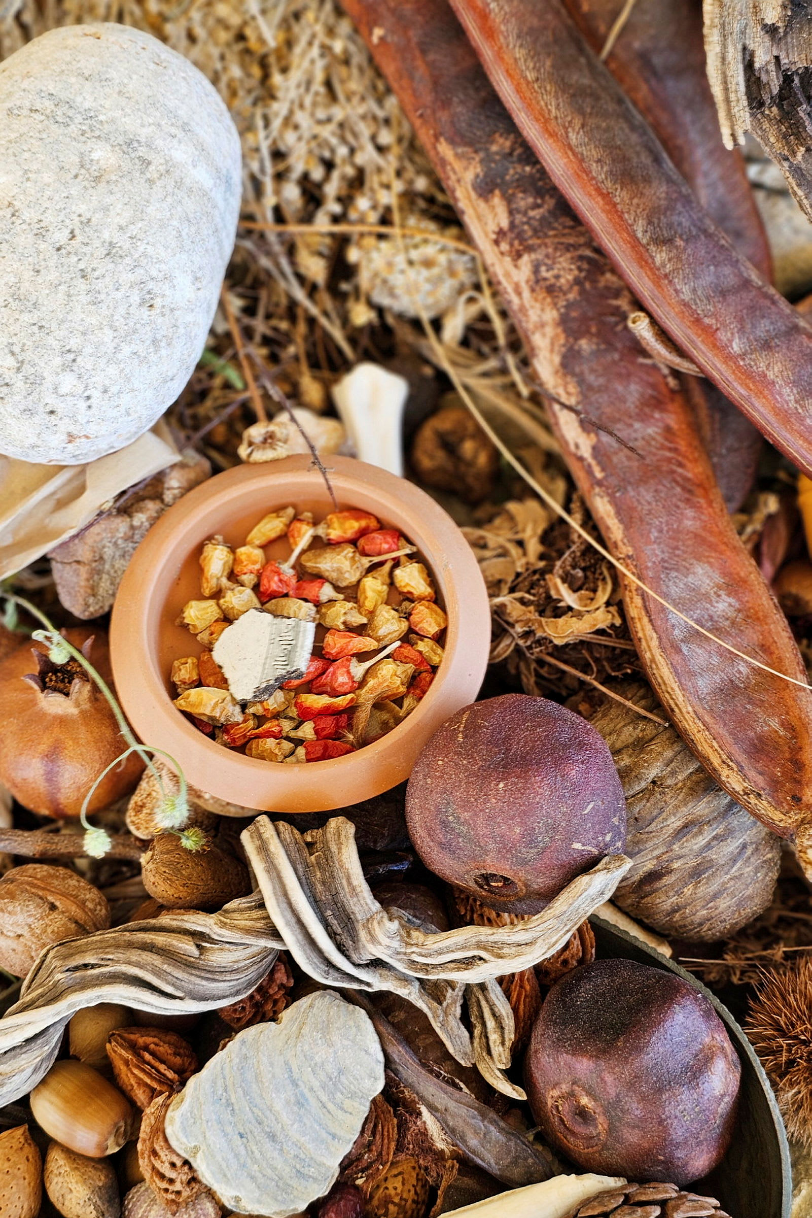 En skål fylld med torkade växter och fruktskivor, omgiven av diverse naturmaterial. (AI-genererad text)