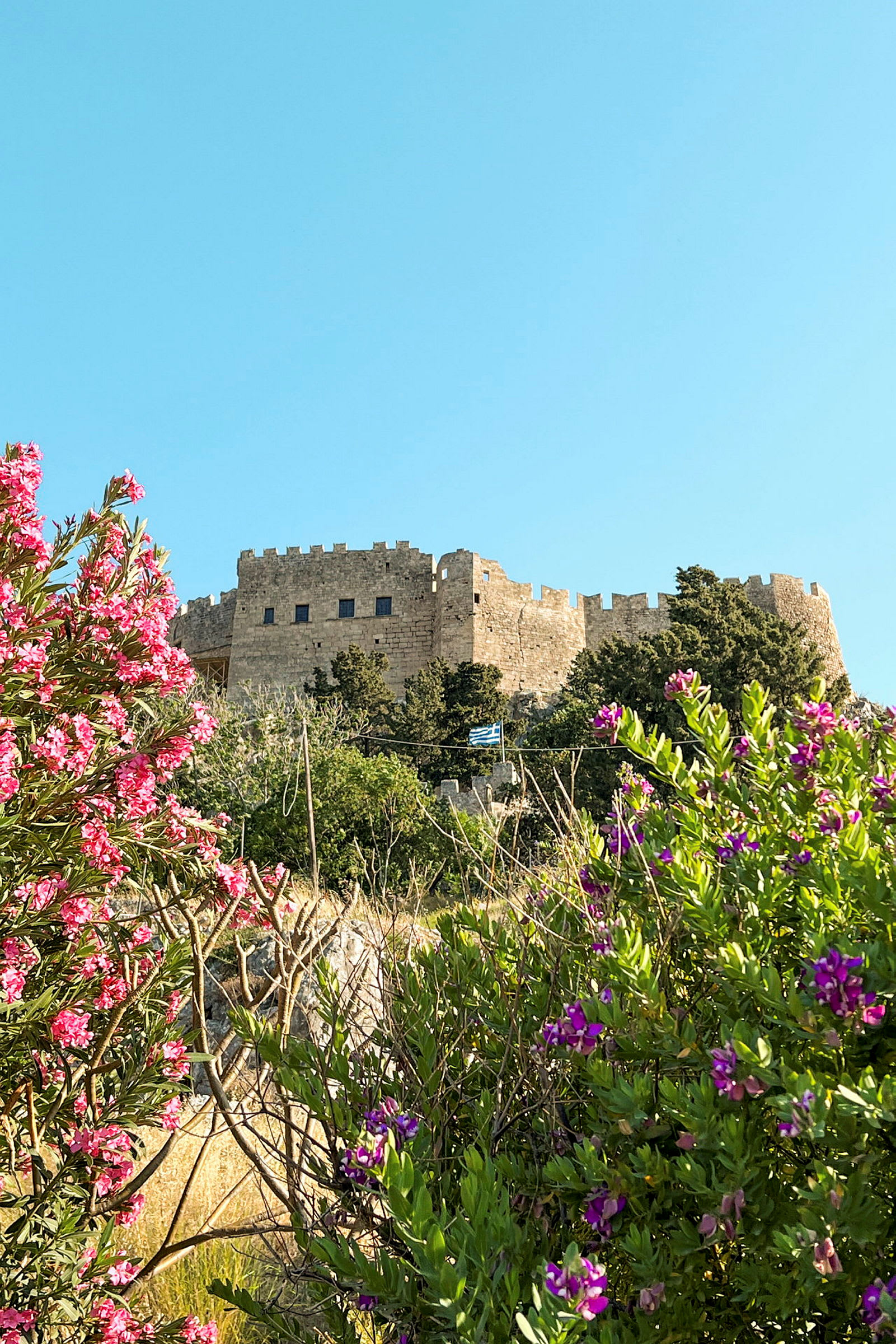 Bild av ett stenfort beläget på en kulle, omgivet av grönska och lila samt rosa blommor i förgrunden. (AI-genererad text)