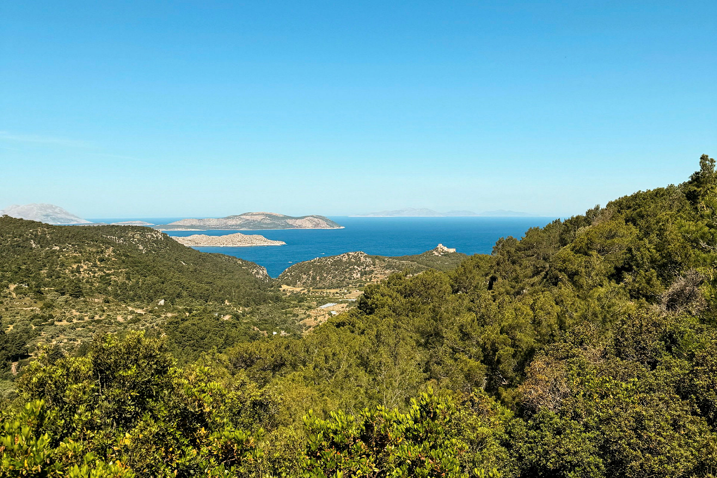 Utsikt över gröna kullar och skogar med havet och öar i bakgrunden. (AI-genererad text)