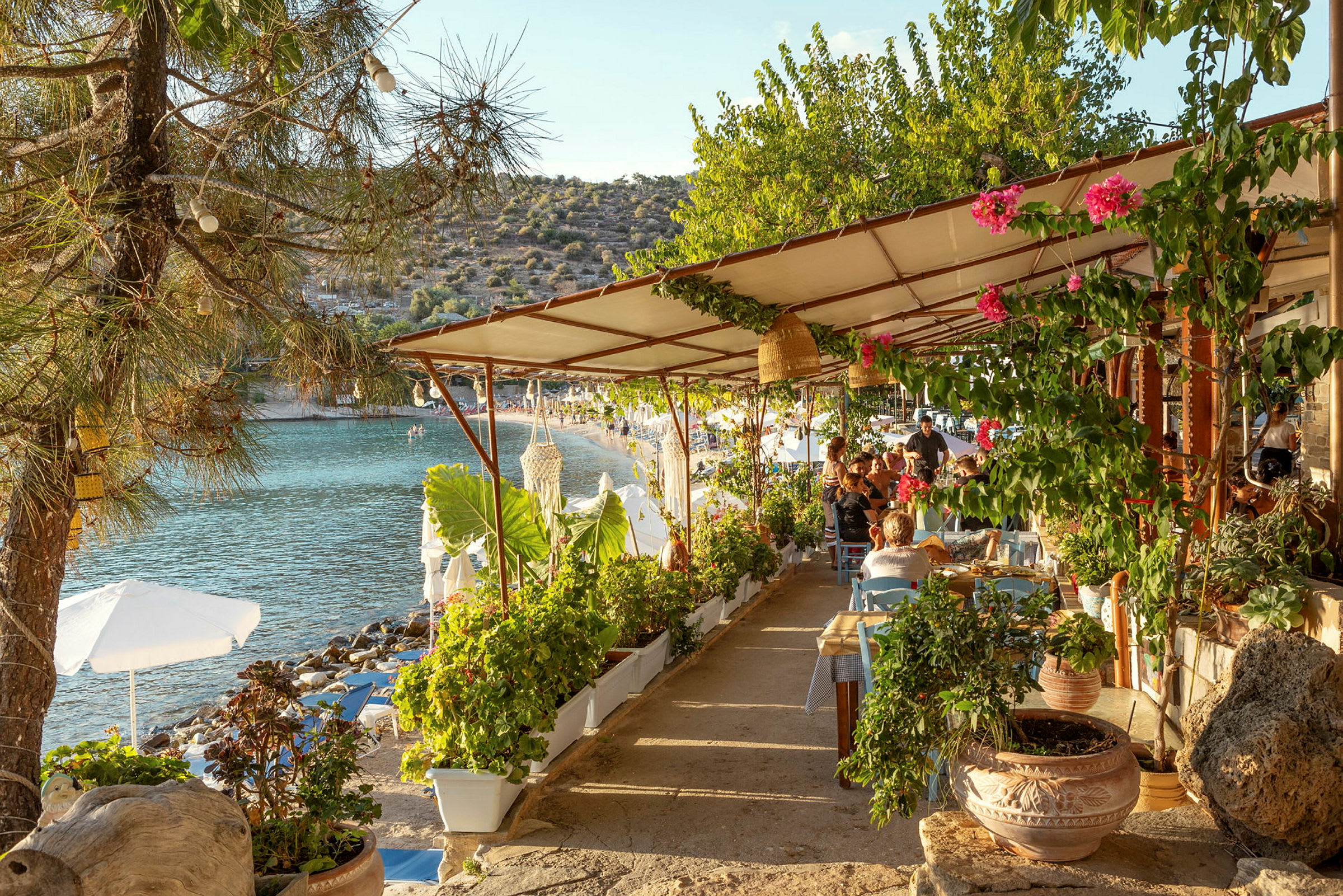 Uteservering vid en strand med växter och blommor. (AI-genererad text)
