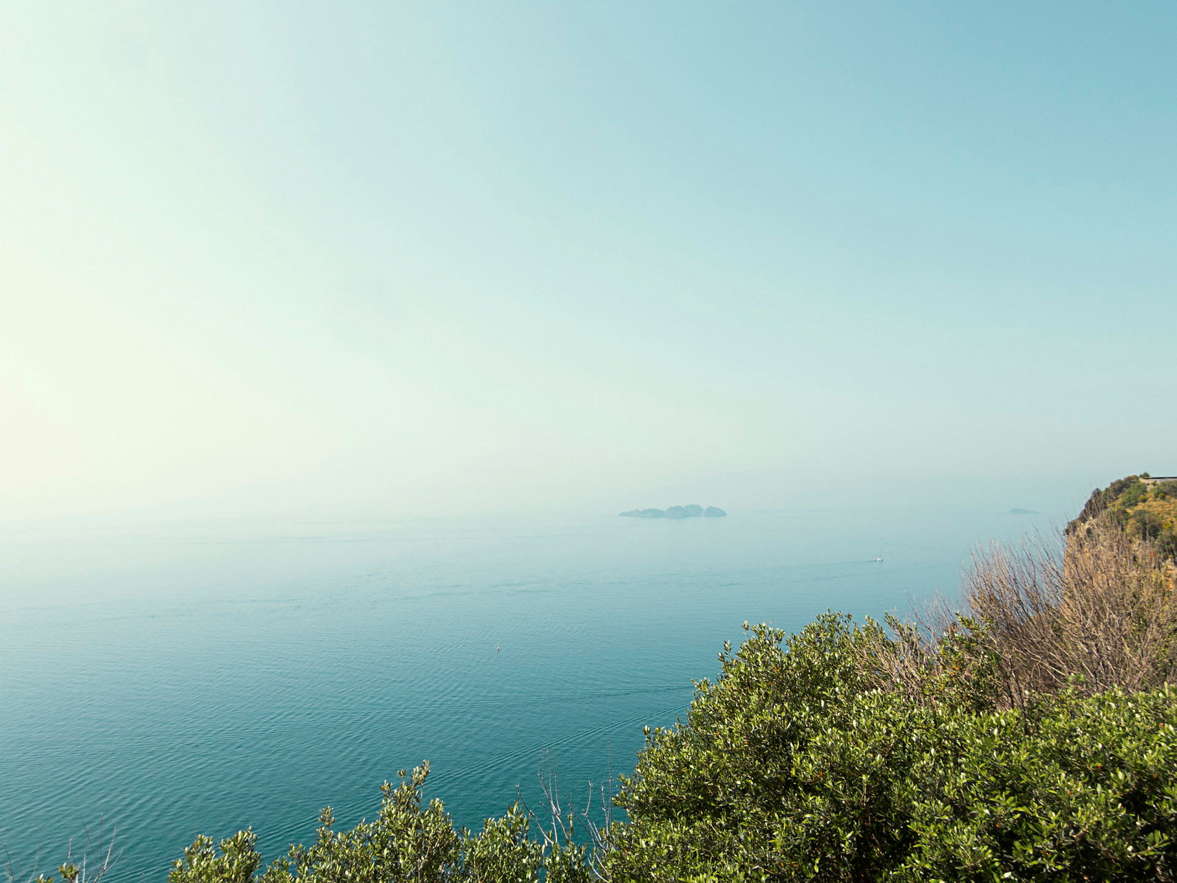 Utsikt över havet med grönska i förgrunden. (AI-genererad text)