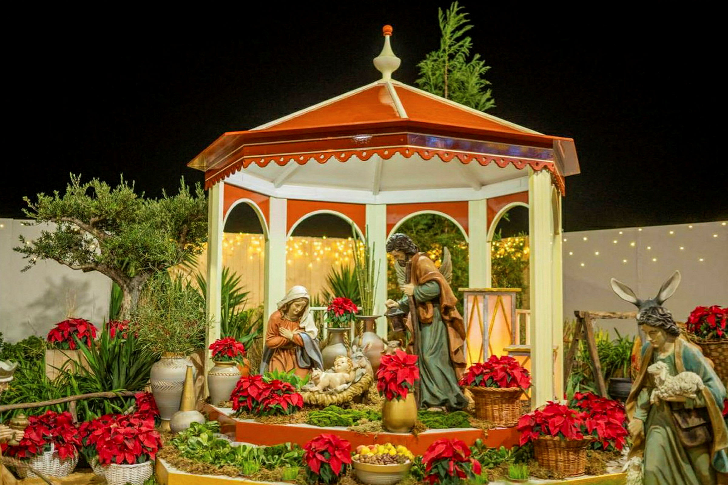 En julkrubba med figurer av Josef, Maria och Jesusbarnet under en röd och vit paviljong, omgiven av julstjärnor och gröna växter. (AI-genererad text)