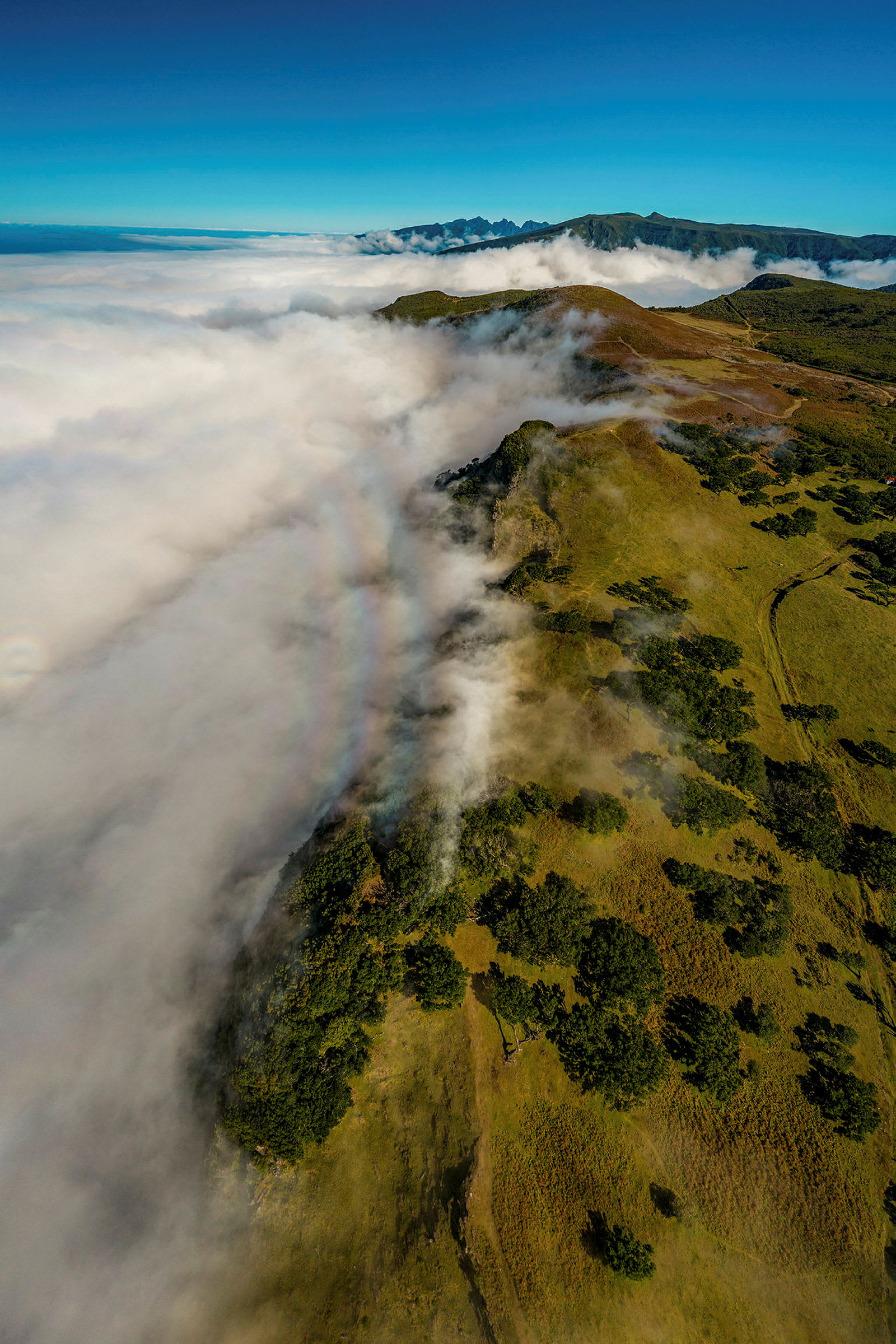 En bild av en bergsrygg med grönskande landskap delvis täckt av dimma samt blå himmel. (AI-genererad text)