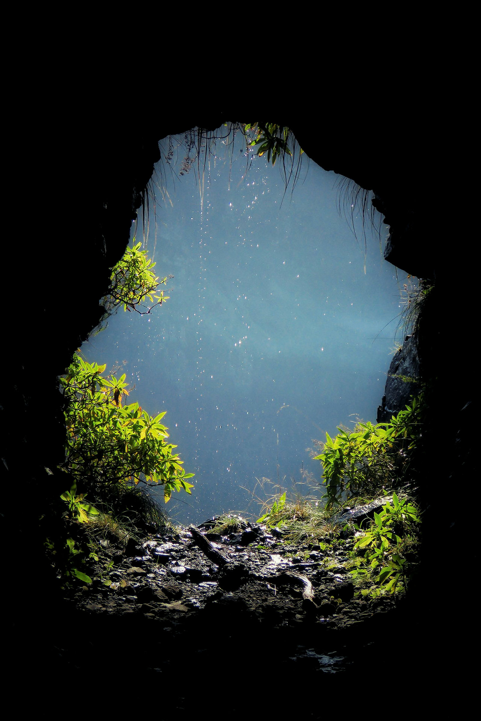 Vy från en grotta ut mot ett ljusfyllt landskap med vegetation. (AI-genererad text)