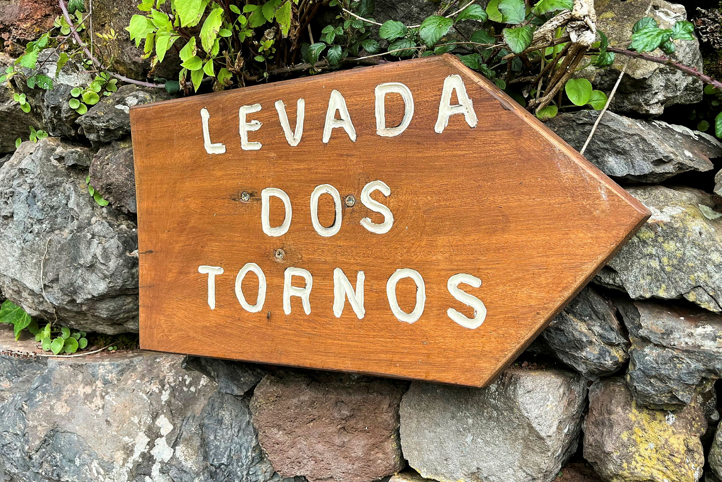 En träskylt med texten 'Levada dos Tornos' placerad mot en bakgrund av stenar och växter. (AI-genererad text)