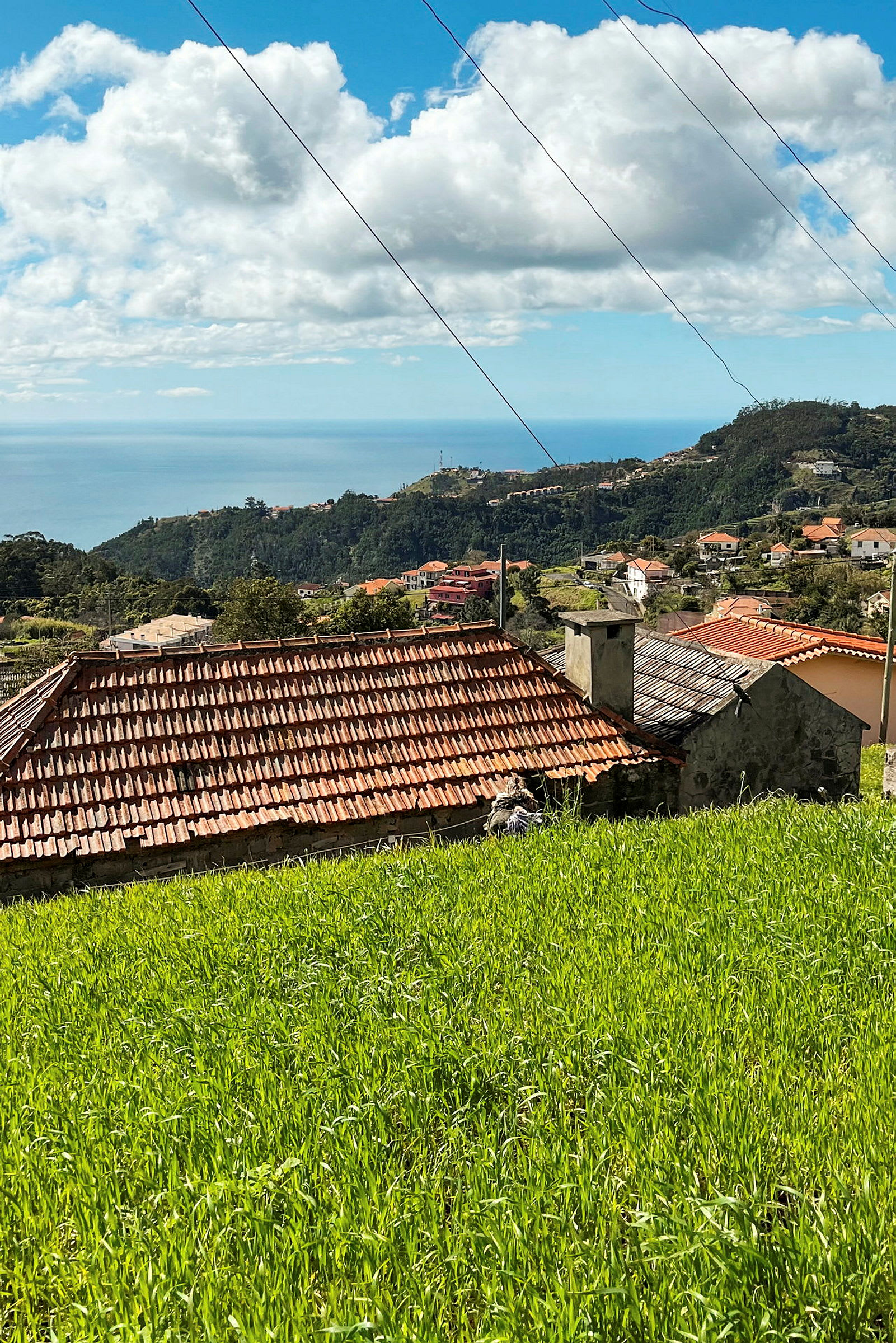 Utsikt över hus med röda tak omgivet av grönskande vegetation, med havet och berg i bakgrunden under en blå himmel. (AI-genererad text)