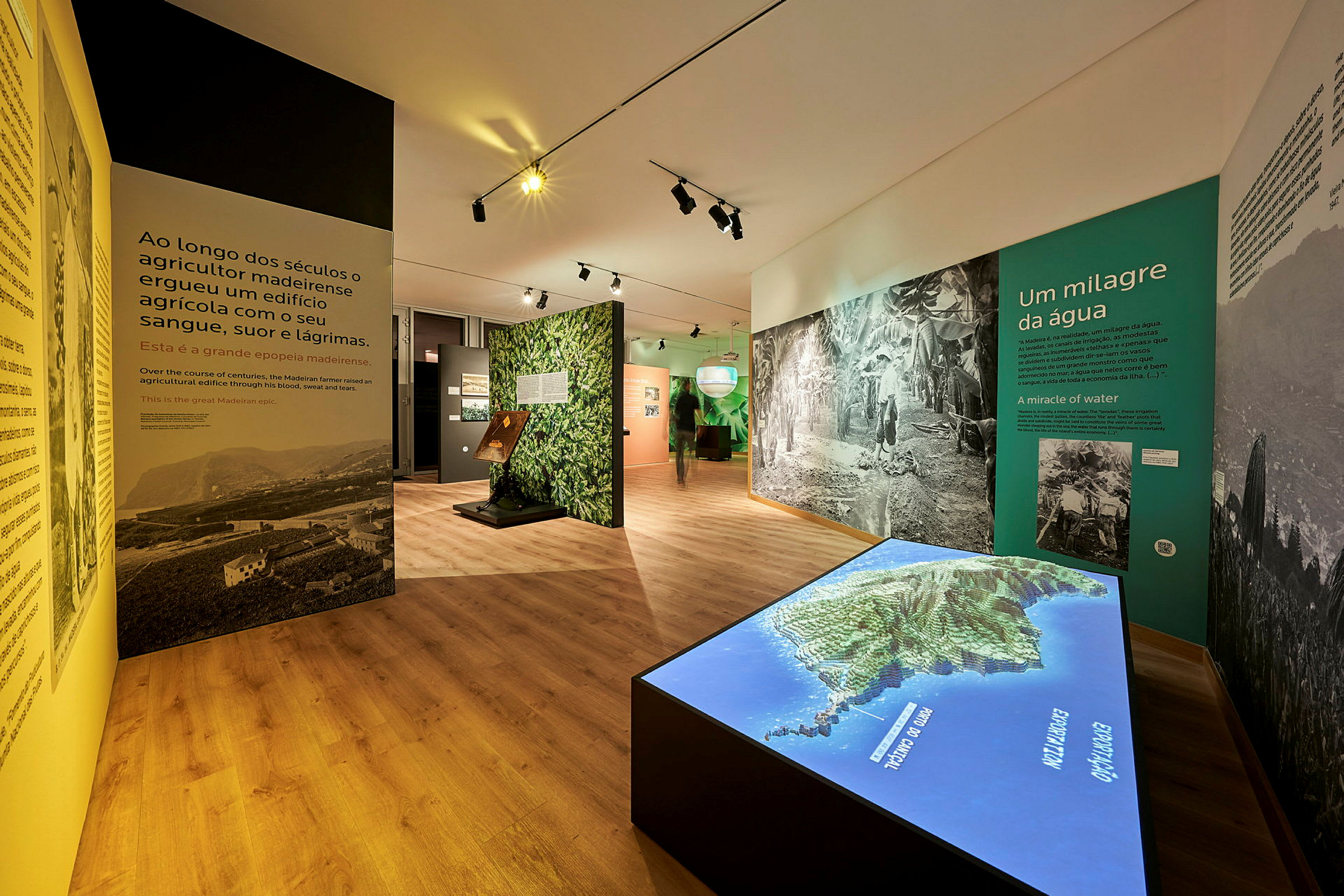 Ett museum med interaktiva utställningar och informationsväggar om Madeiras jordbruk. (AI-genererad text)
