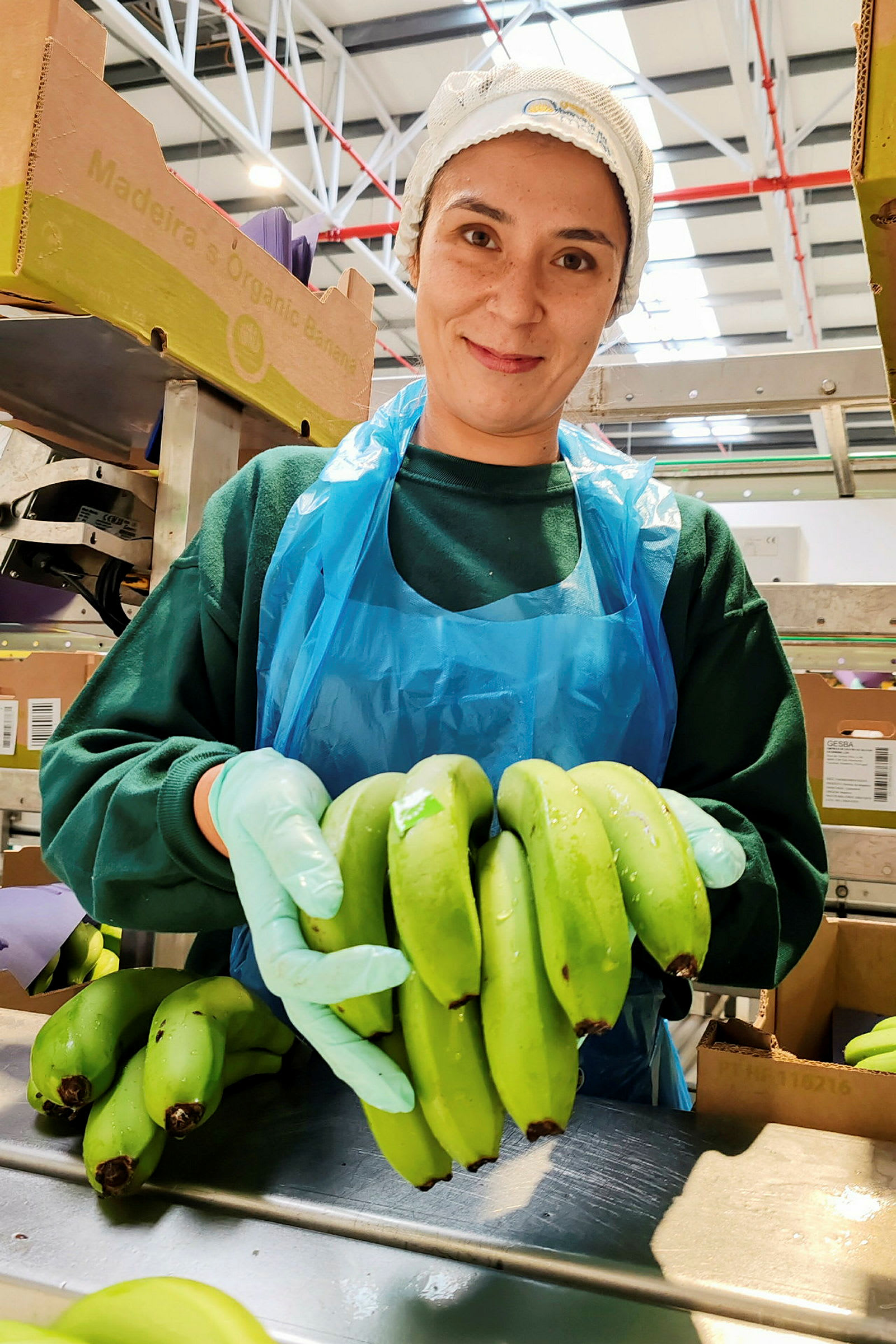 Person håller upp gröna bananer, omgivna av kartonger och industriell utrustning. (AI-genererad text)