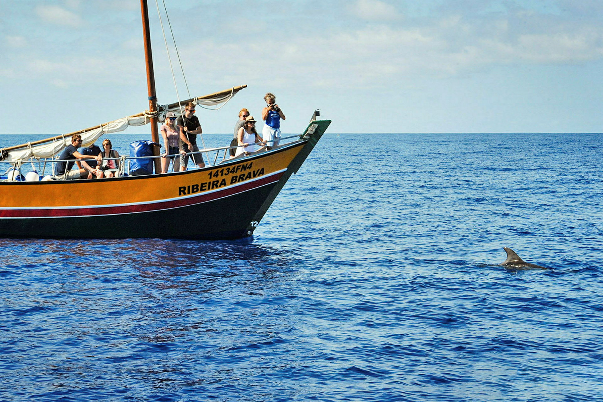 En båt med passagerare nära en delfin i havet. (AI-genererad text)