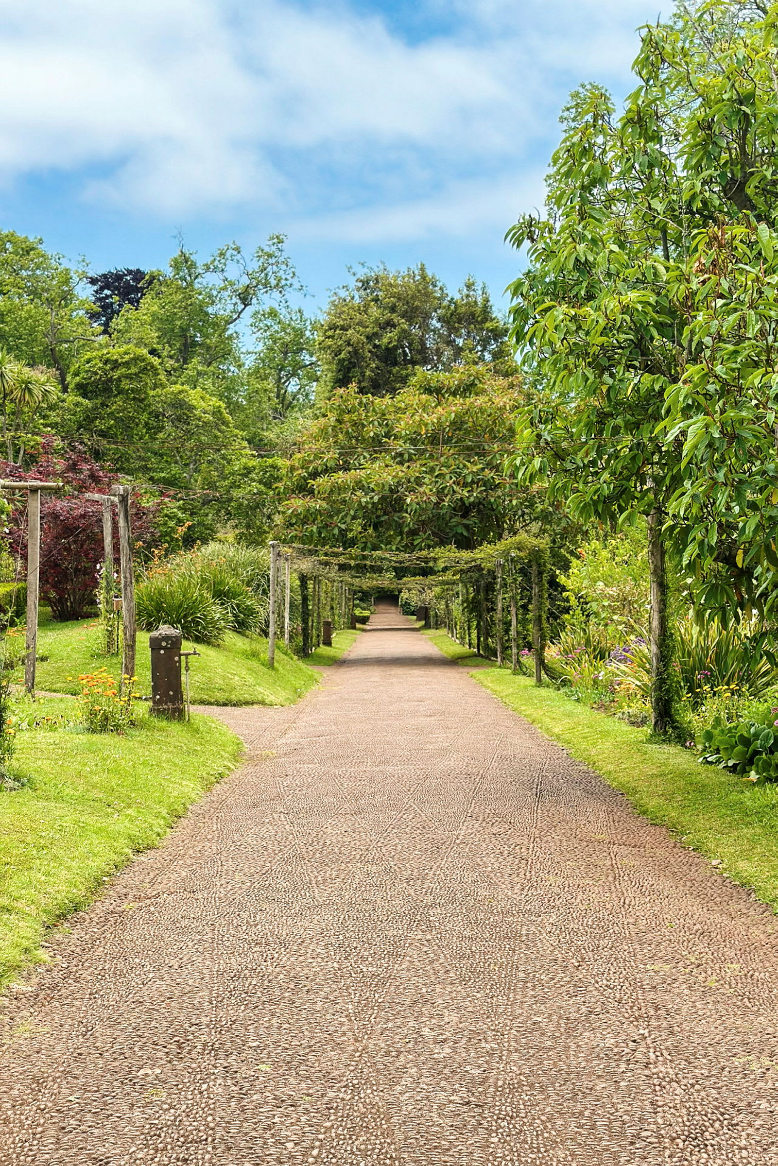 En grusväg som leder genom en frodig trädgård, omgiven av grönska och blommande växter. (AI-genererad text)