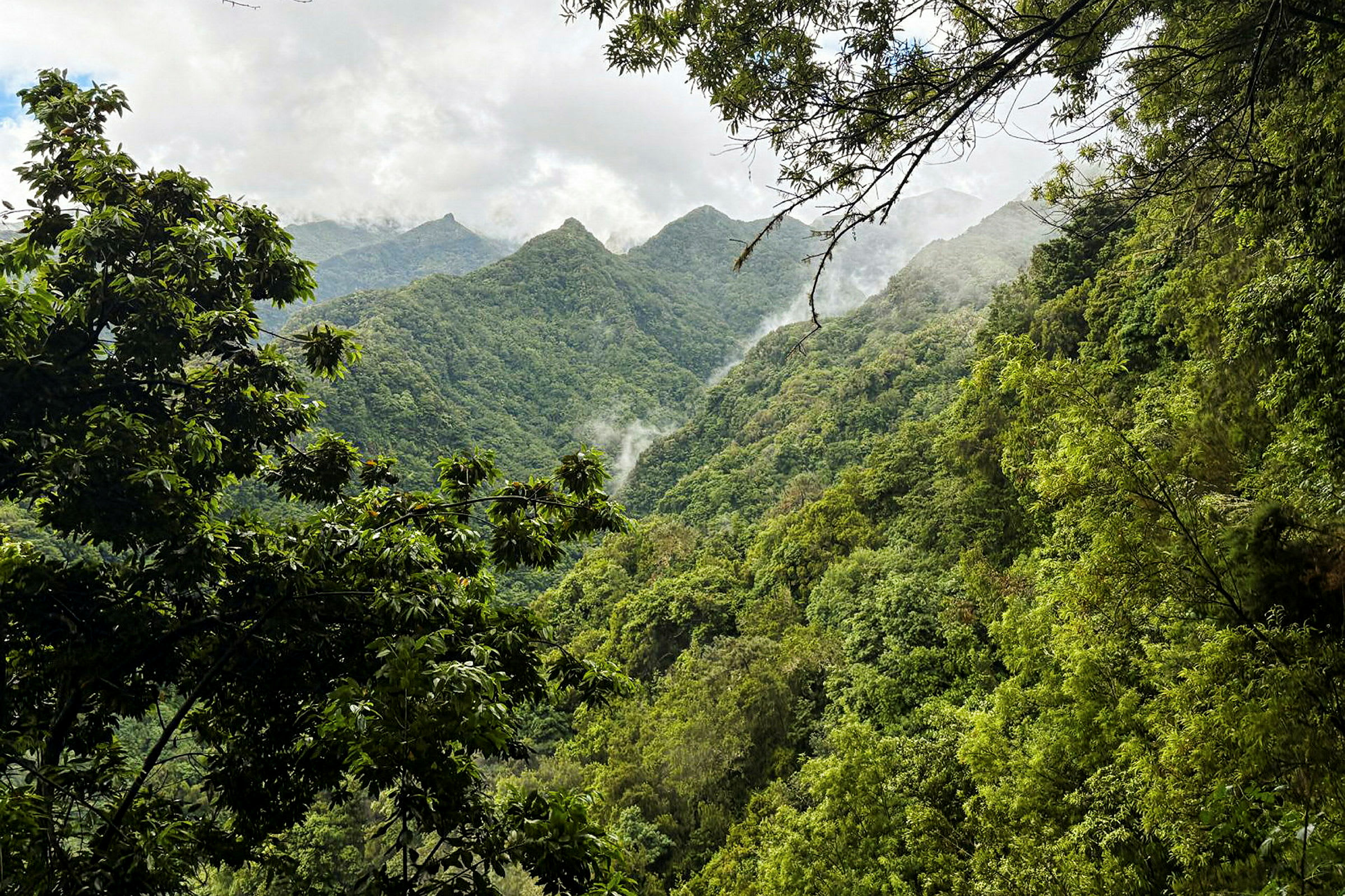 Vandring längs Levada do Rei (PR 18)