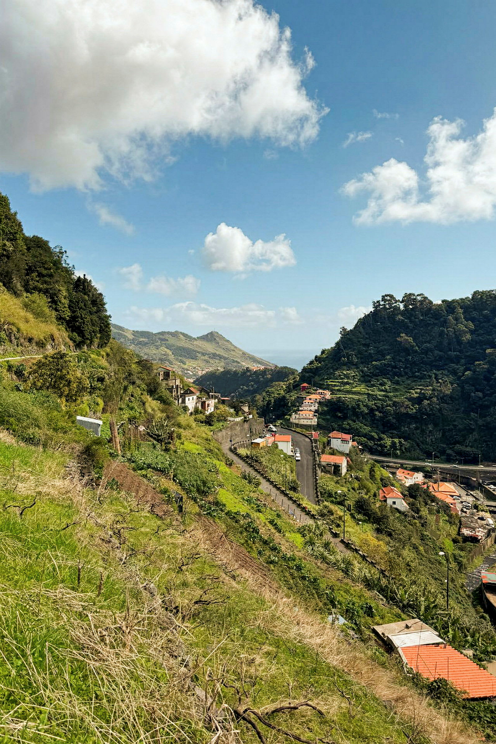 Levada dos Maroços (även känd som Mimosa Valley)