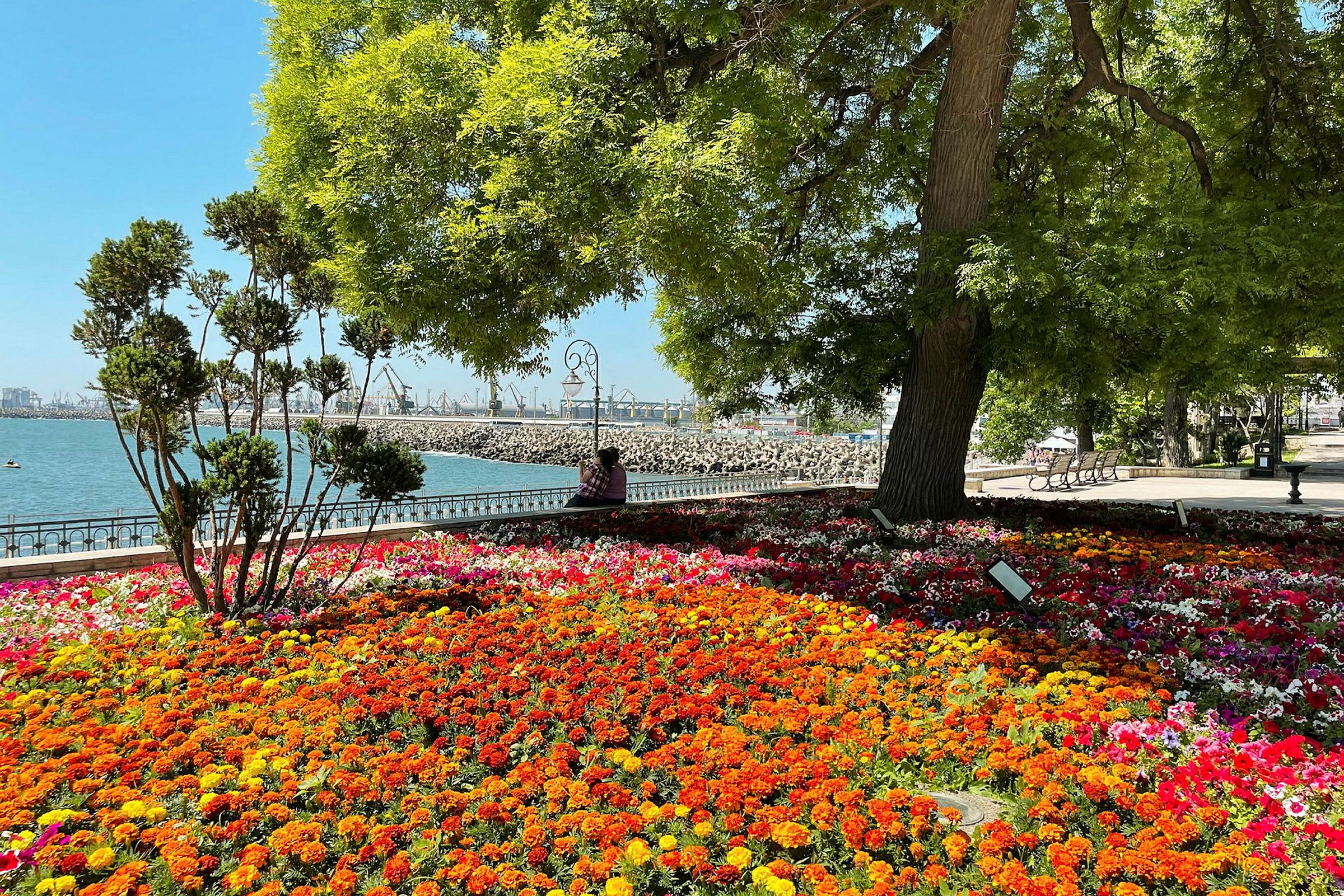 En park med en bädd av färgglada blommor och träd nära vattnet. (AI-genererad text)