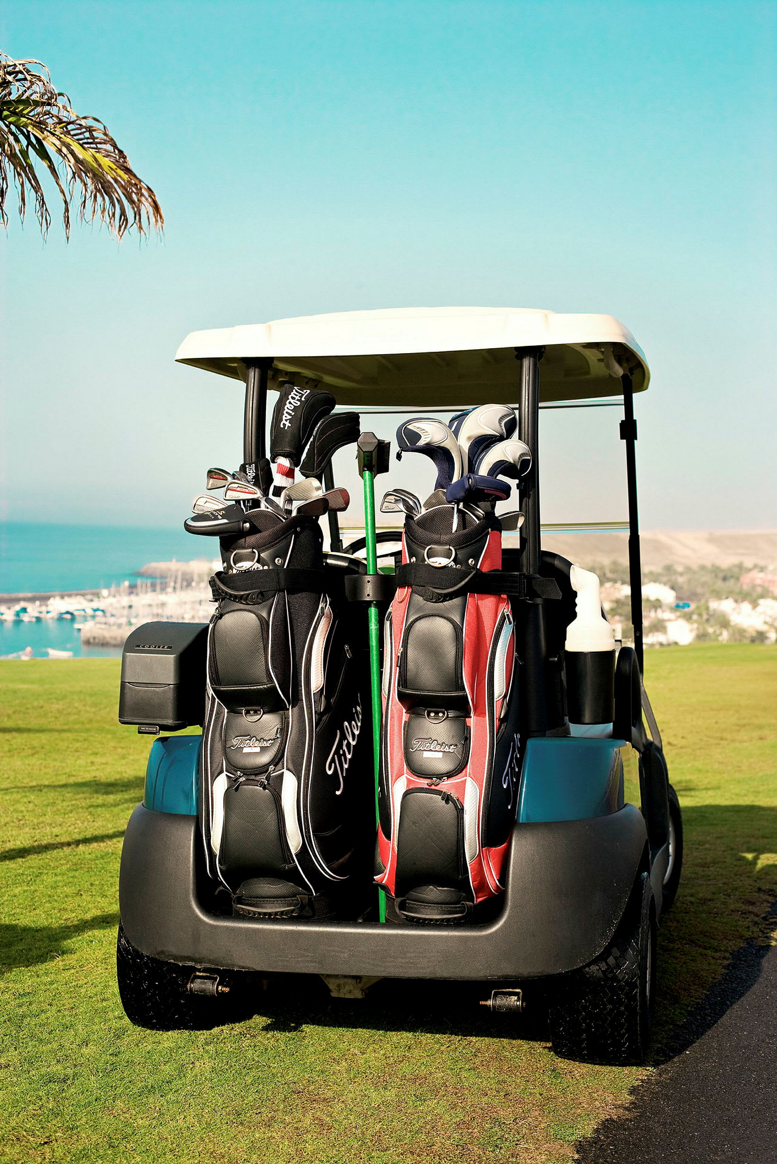 En golfbil med två golfbags är parkerad på en gräsmatta med havet och småbåtshamn i bakgrunden. (AI-genererad text)