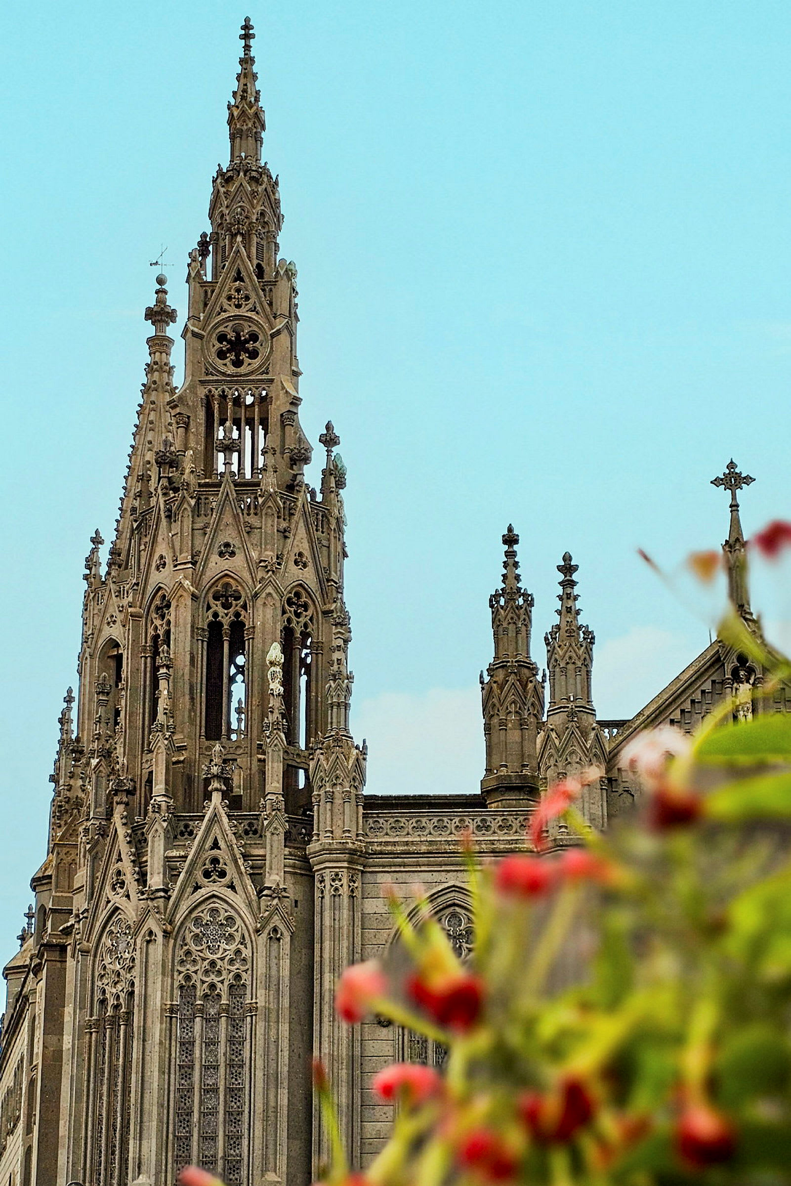 Närbild av en gotisk katedral med en detaljrik spira, i förgrunden ses suddiga blommor. (AI-genererad text)