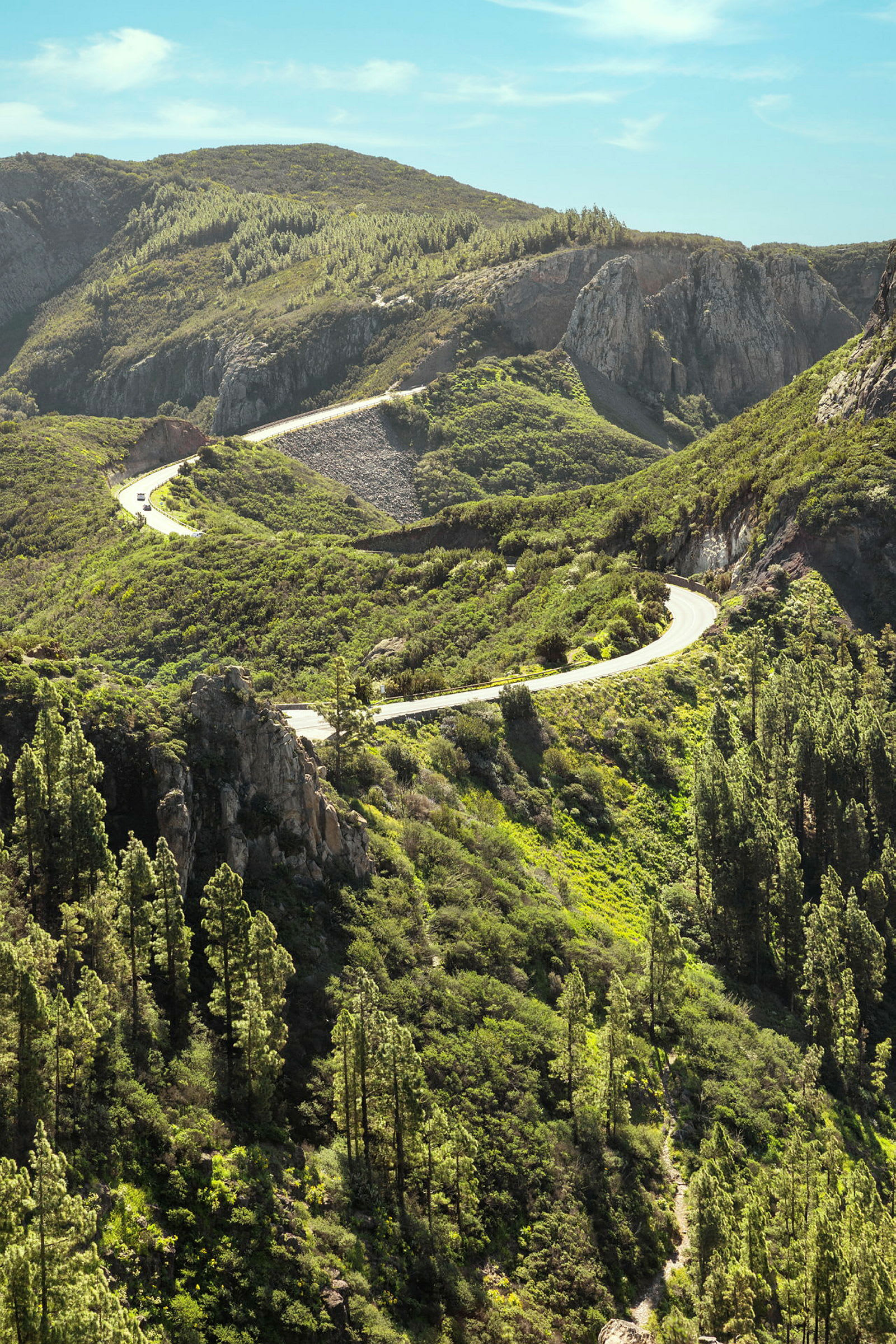 En slingrande väg genom ett bergigt landskap med grön vegetation. (AI-genererad text)
