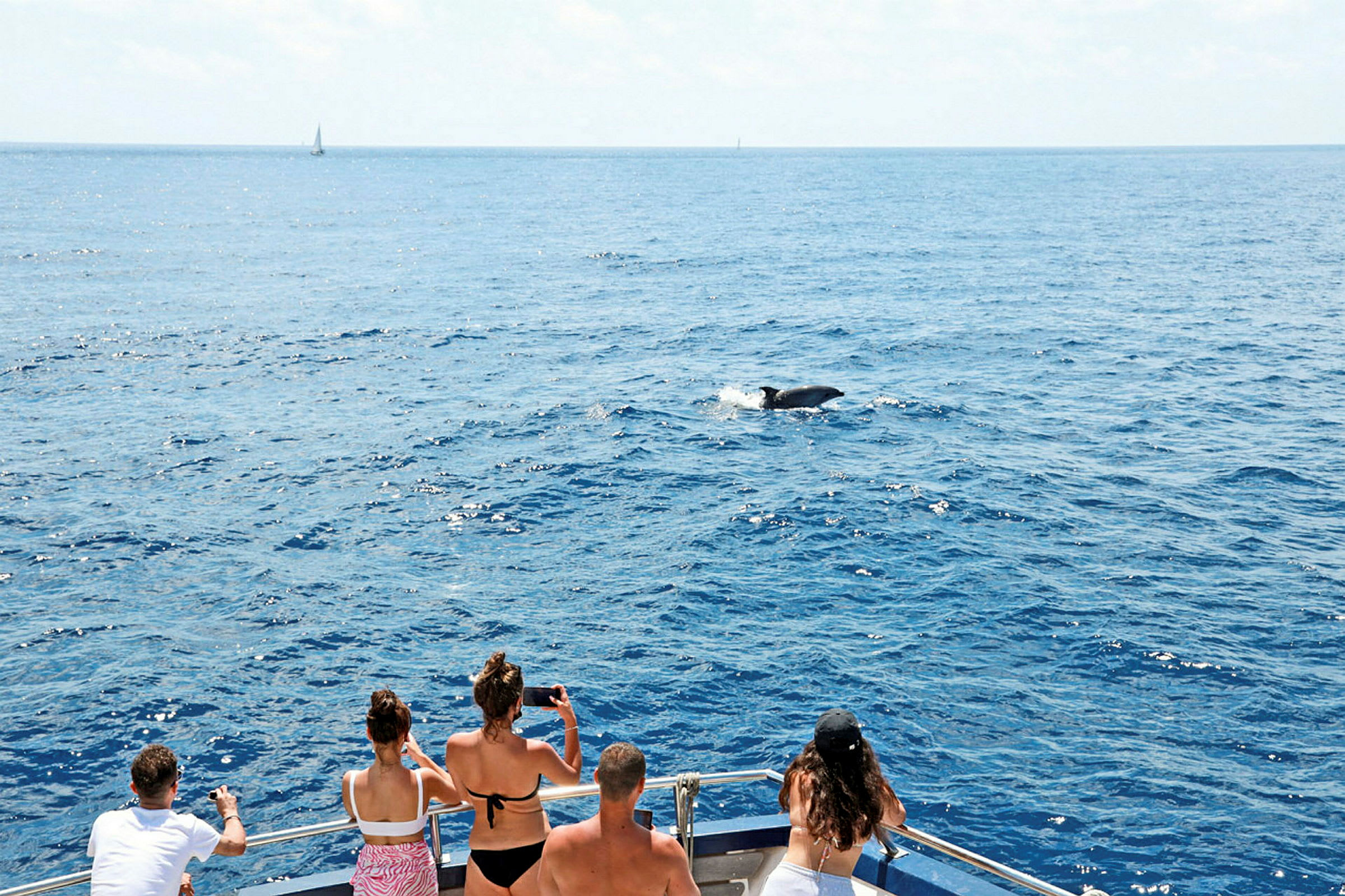 En grupp människor på en båt tittar ut över havet där en delfin syns i vattnet. (AI-genererad text)