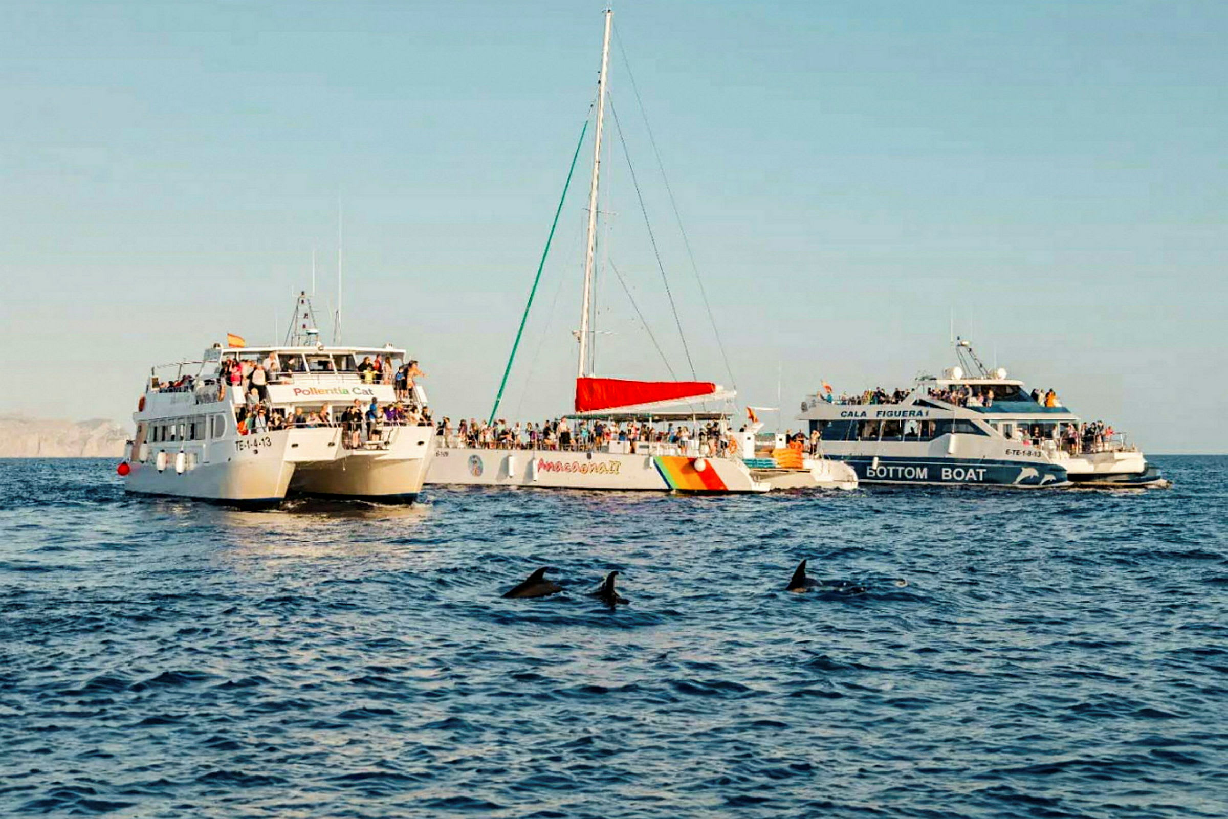 Tre turistbåtar ligger på ett öppet hav, med fyra delfiner simmande närmare kameran. (AI-genererad text)