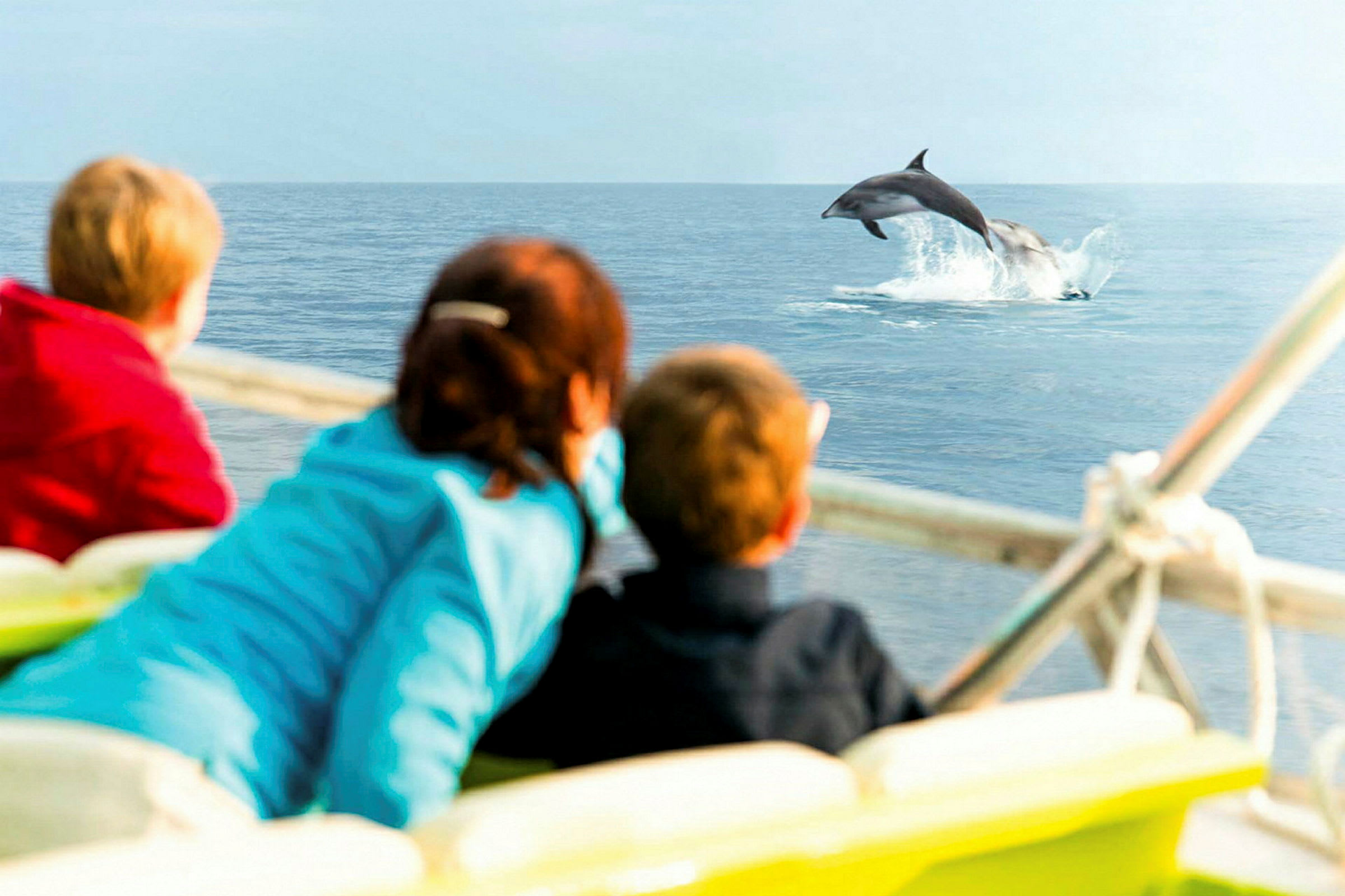 Tre personer på en båt ser en delfin hoppa ur vattnet. (AI-genererad text)