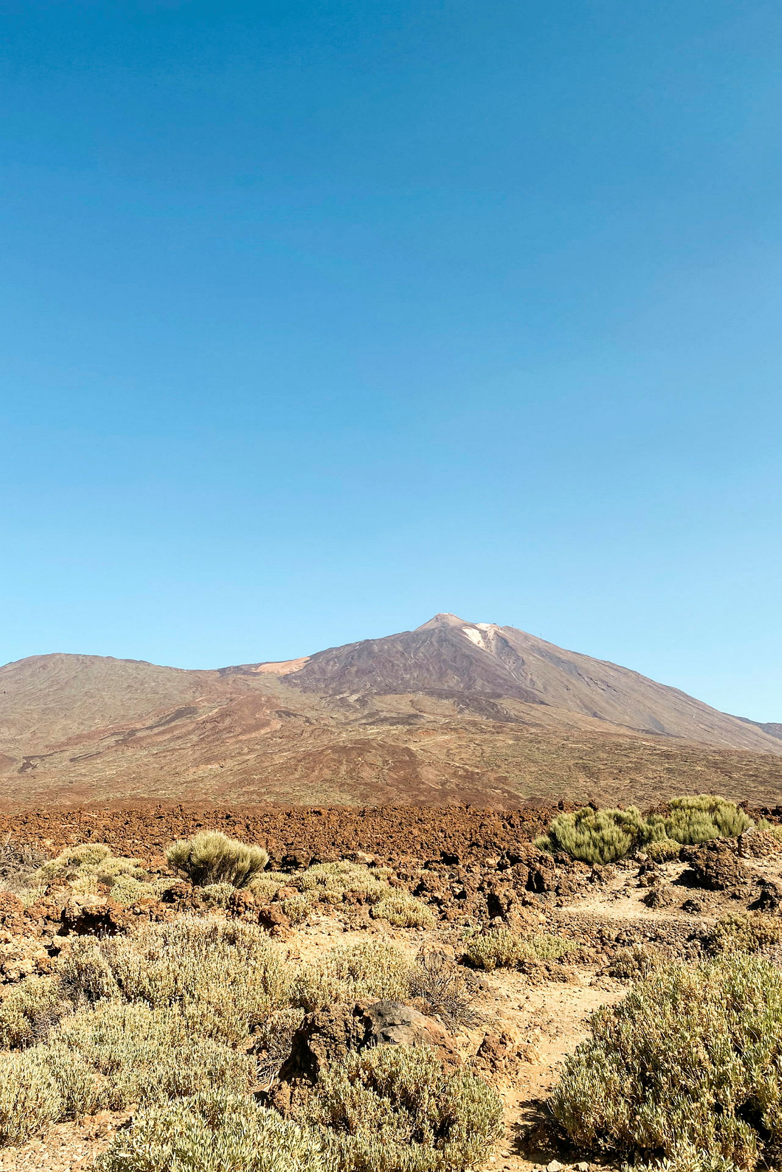 Vulkaniskt landskap med berg i bakgrunden under en klar blå himmel. (AI-genererad text)