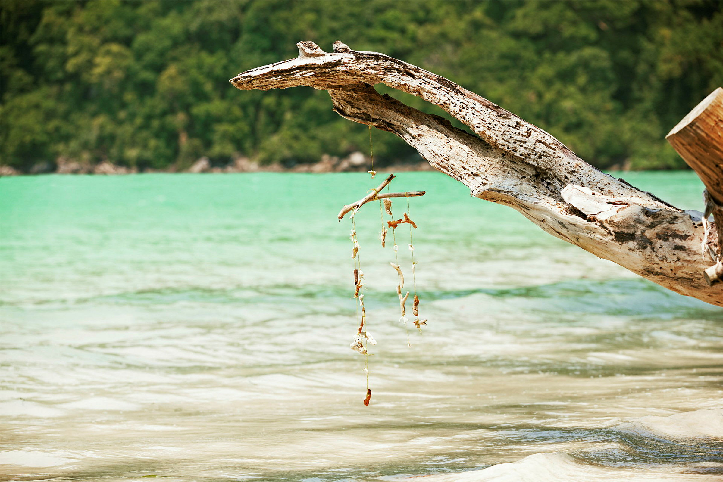 En död trädgren med ett hängande dekorationsföremål vid en strand. (AI-genererad text)