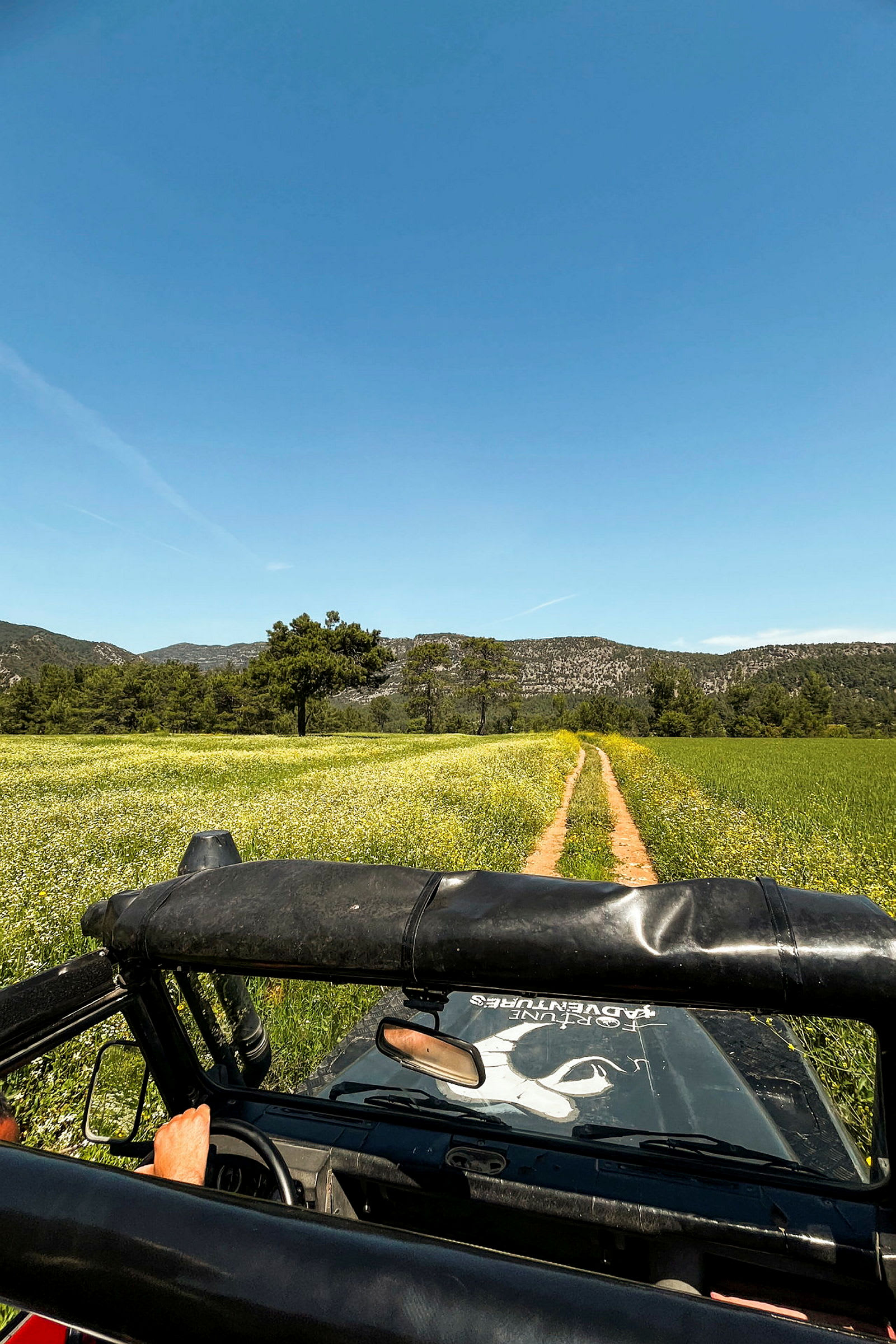 En jeep kör på en grusväg genom ett grönt fält med blommor och träd. I bakgrunden syns en bergskedja under en klar blå himmel. (AI-genererad text)