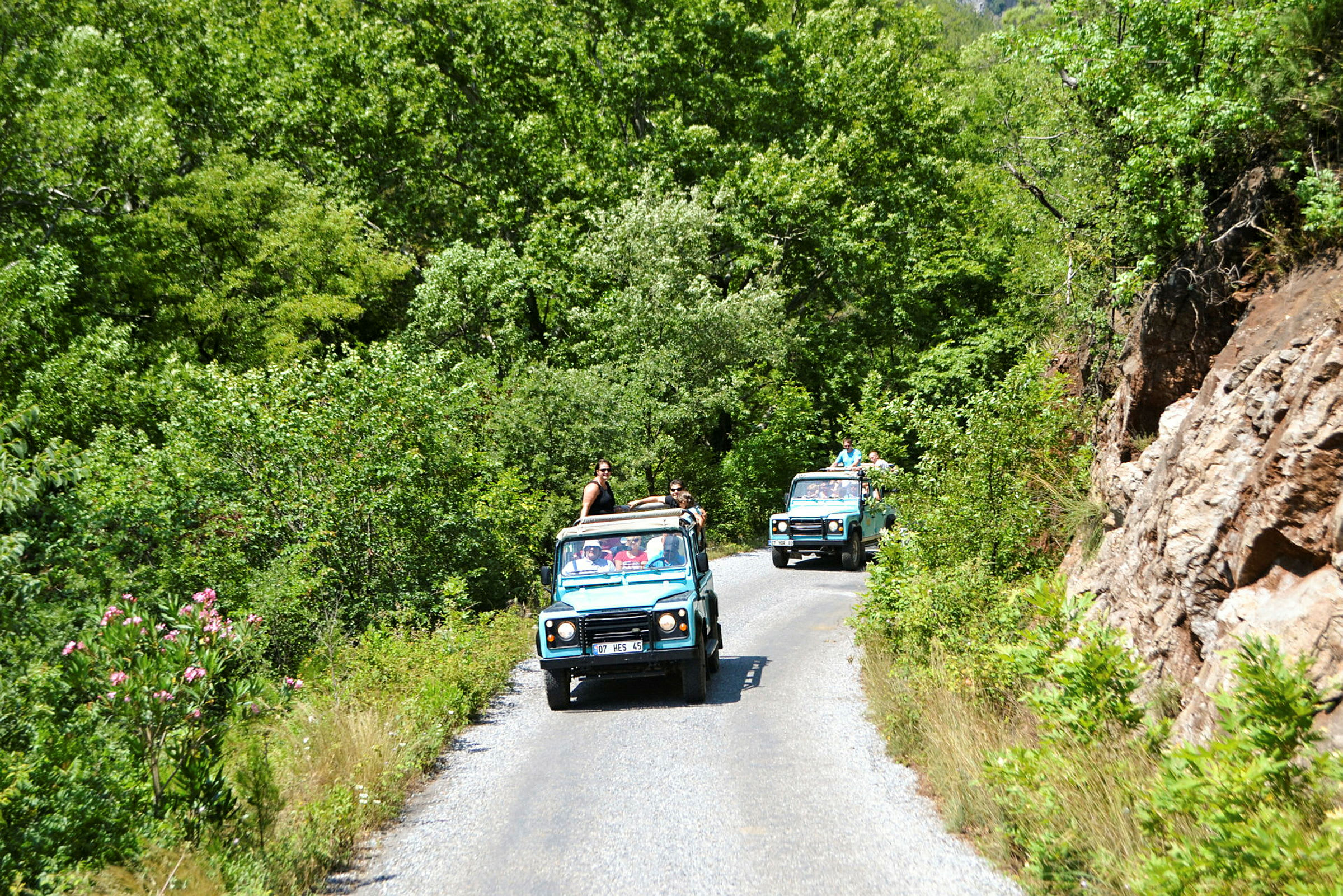Två jeep-bilar med öppet tak kör på en smal väg genom en grönskande skog. (AI-genererad text)