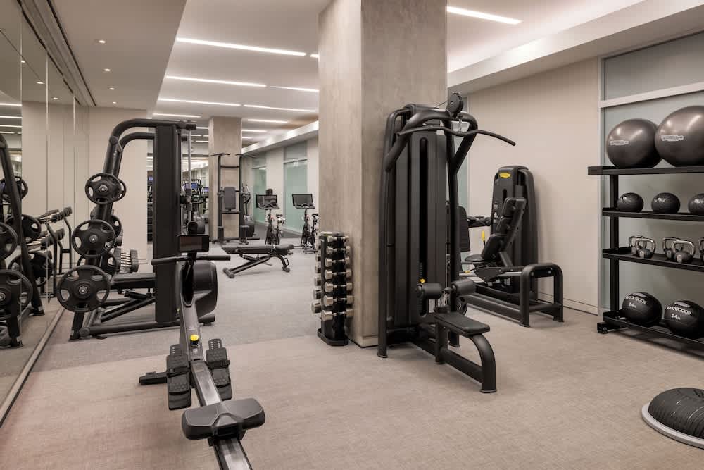 Gym