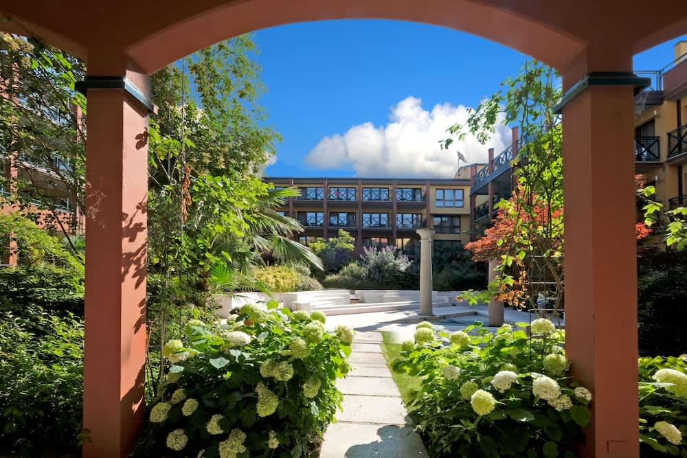 Trädgård