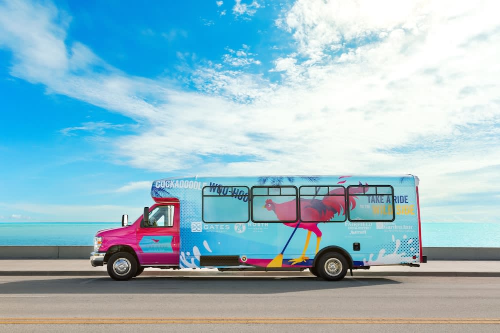Citybuss