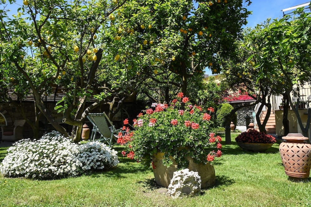 Trädgård